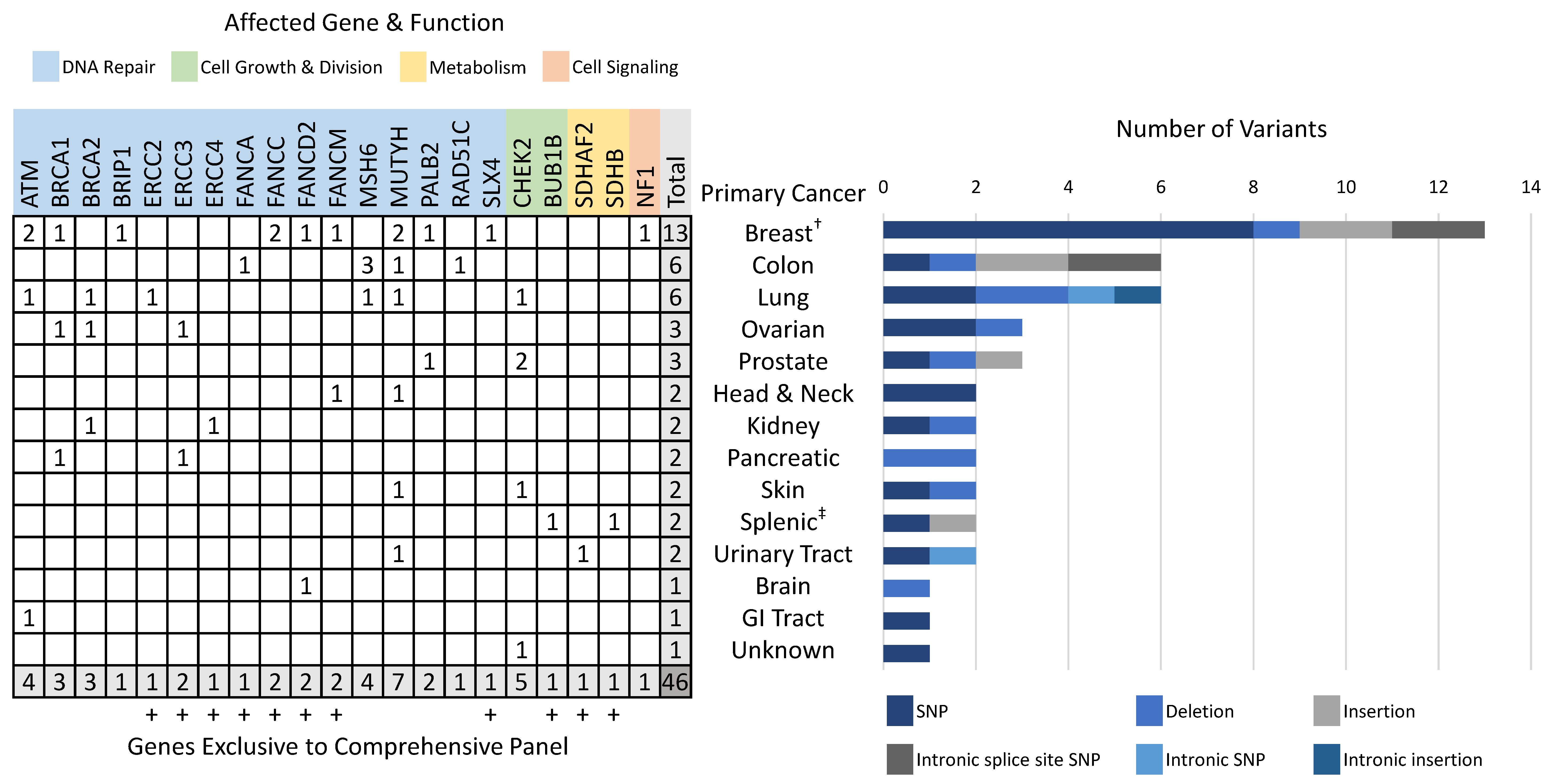 Cancers 13 05612 g001