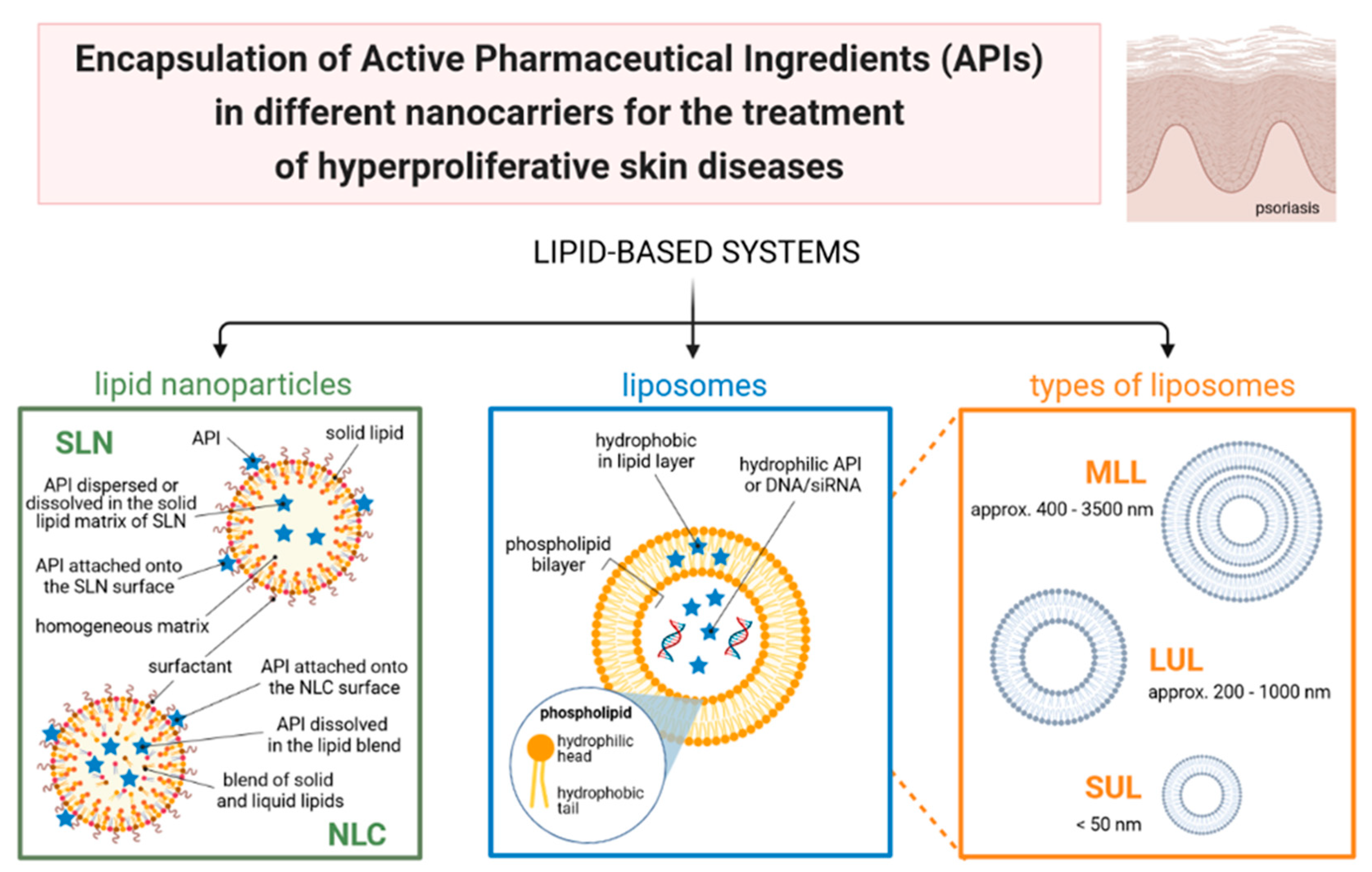 Cancers 13 05619 g001