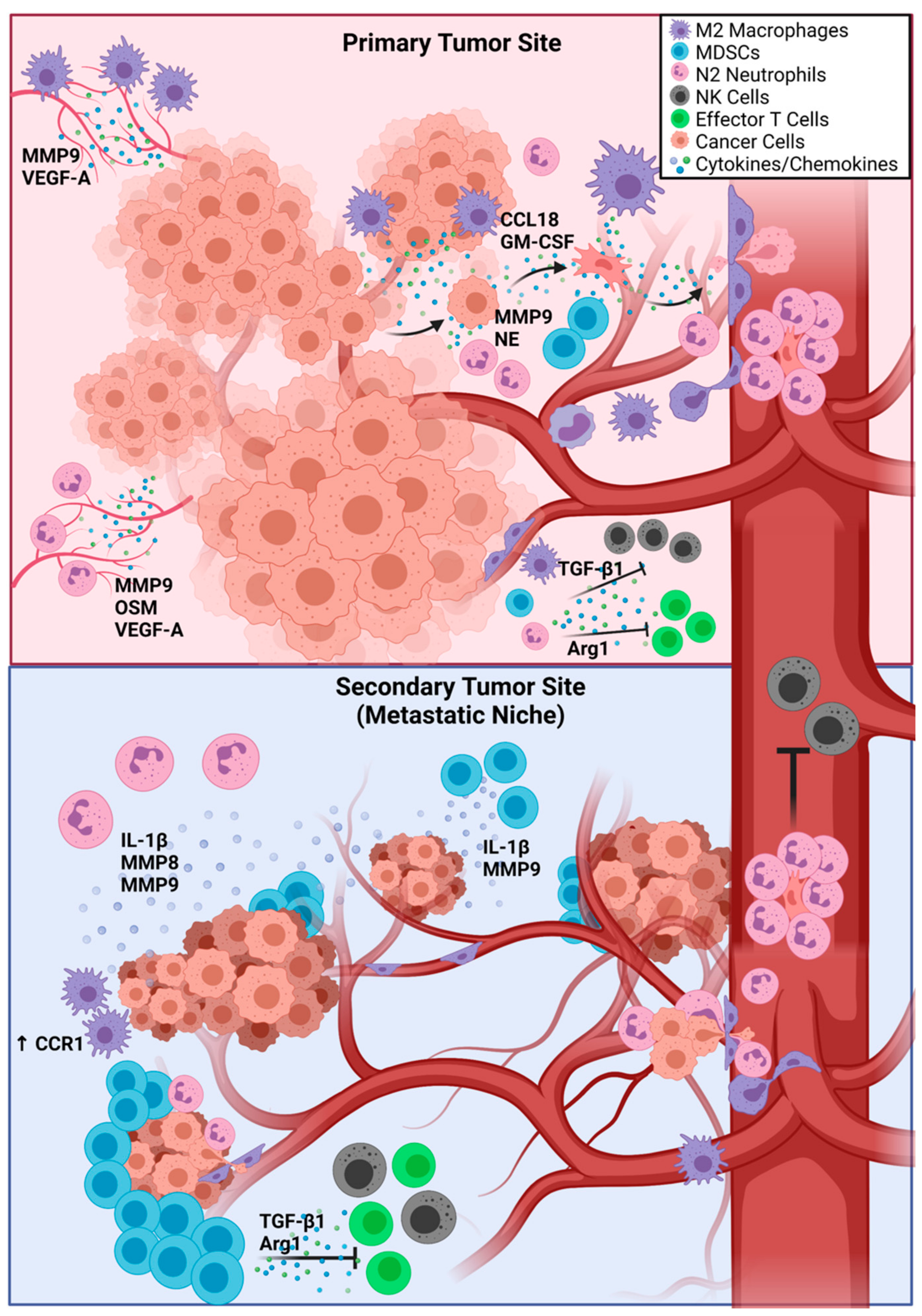Cancers 13 05621 g001 Cancers 13 05621 g001