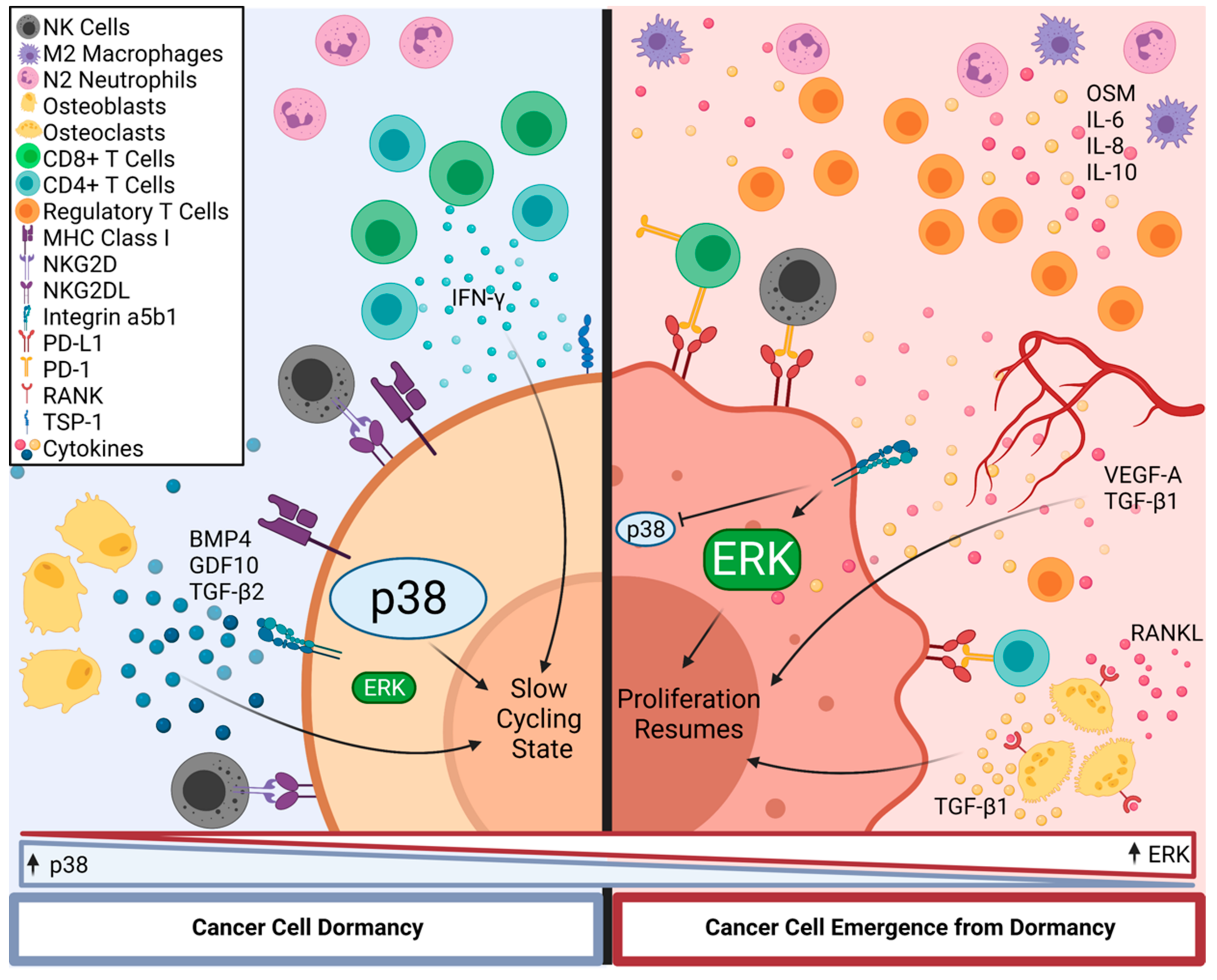 Cancers 13 05621 g002 Cancers 13 05621 g002