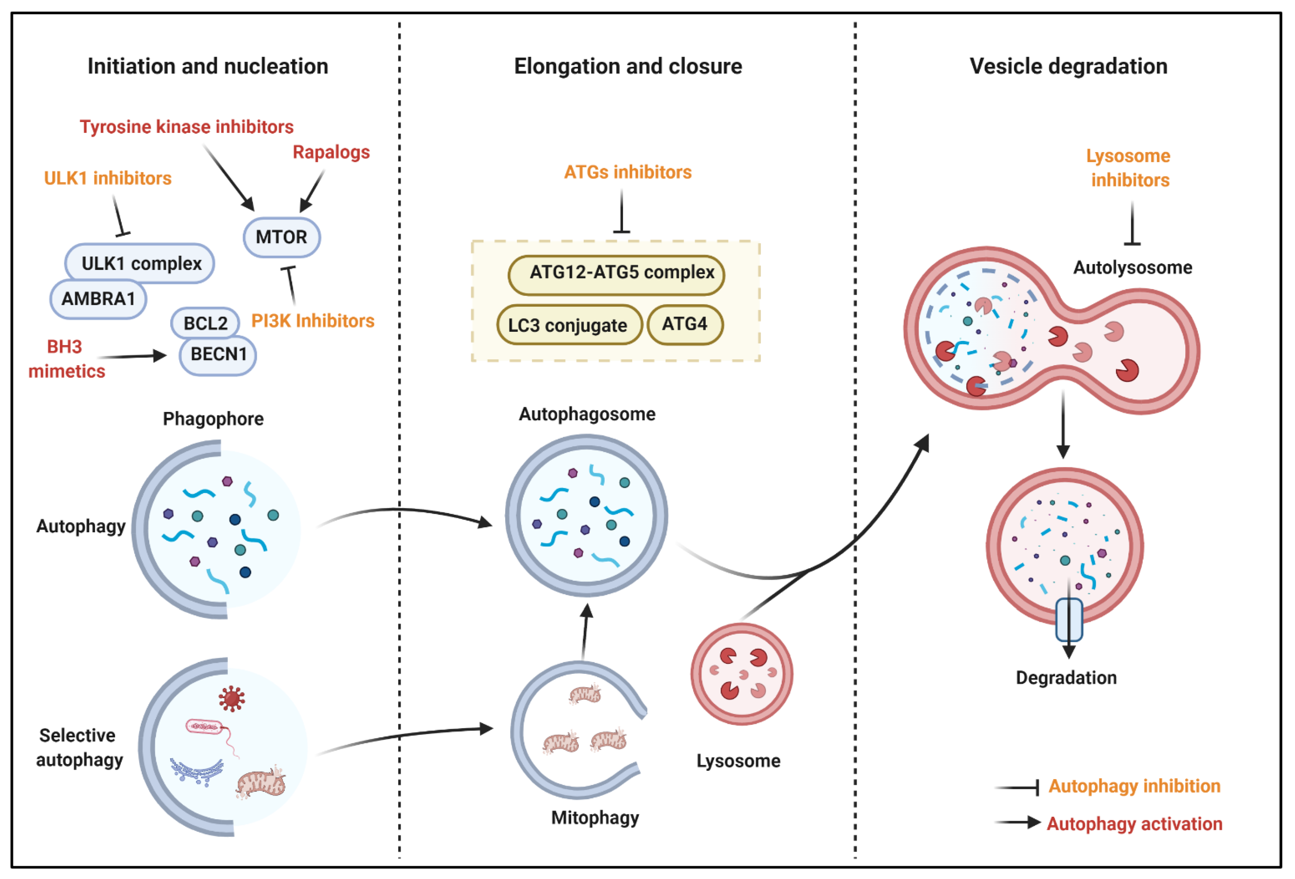 Cancers 13 05622 g003