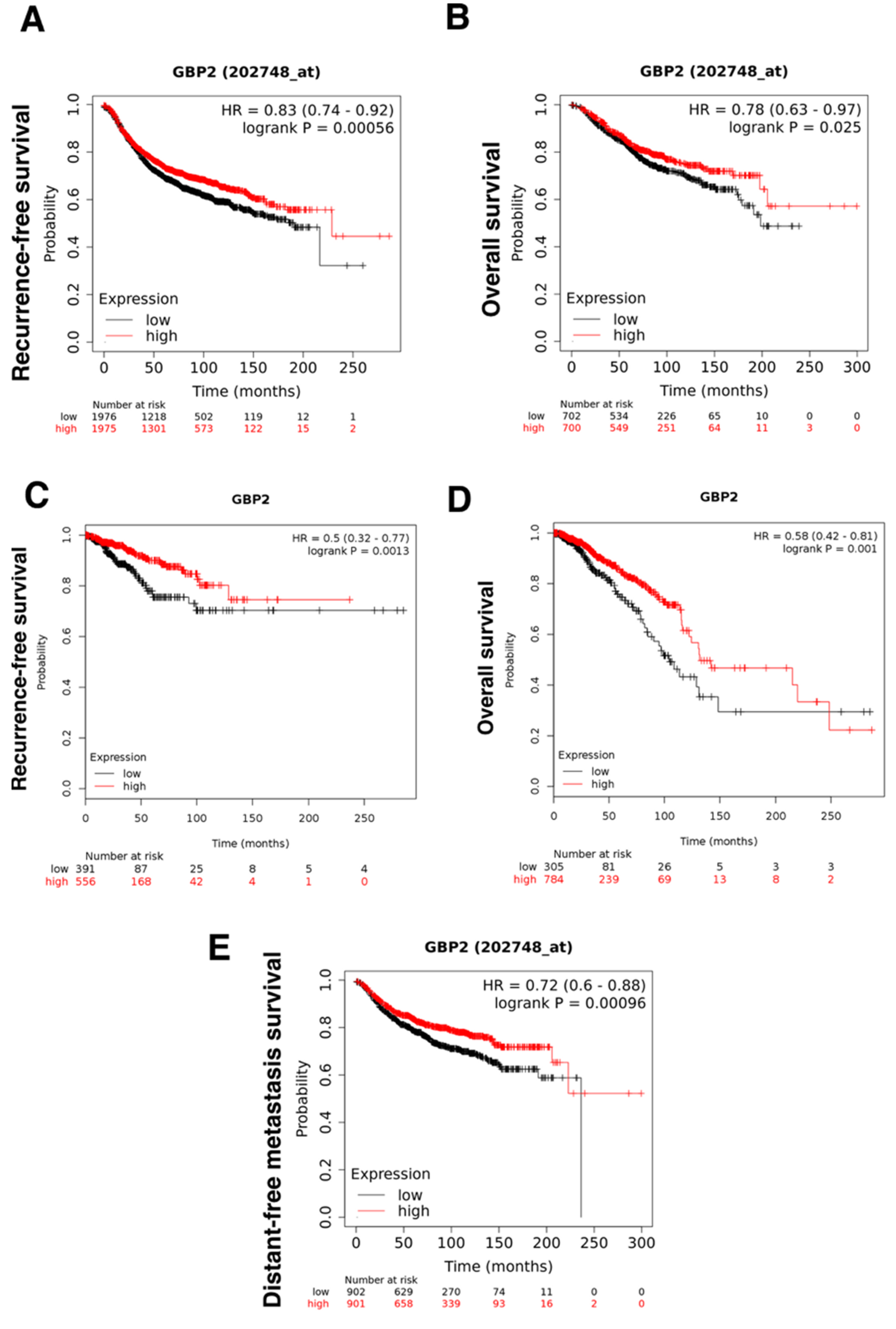 Cancers 13 05632 g001