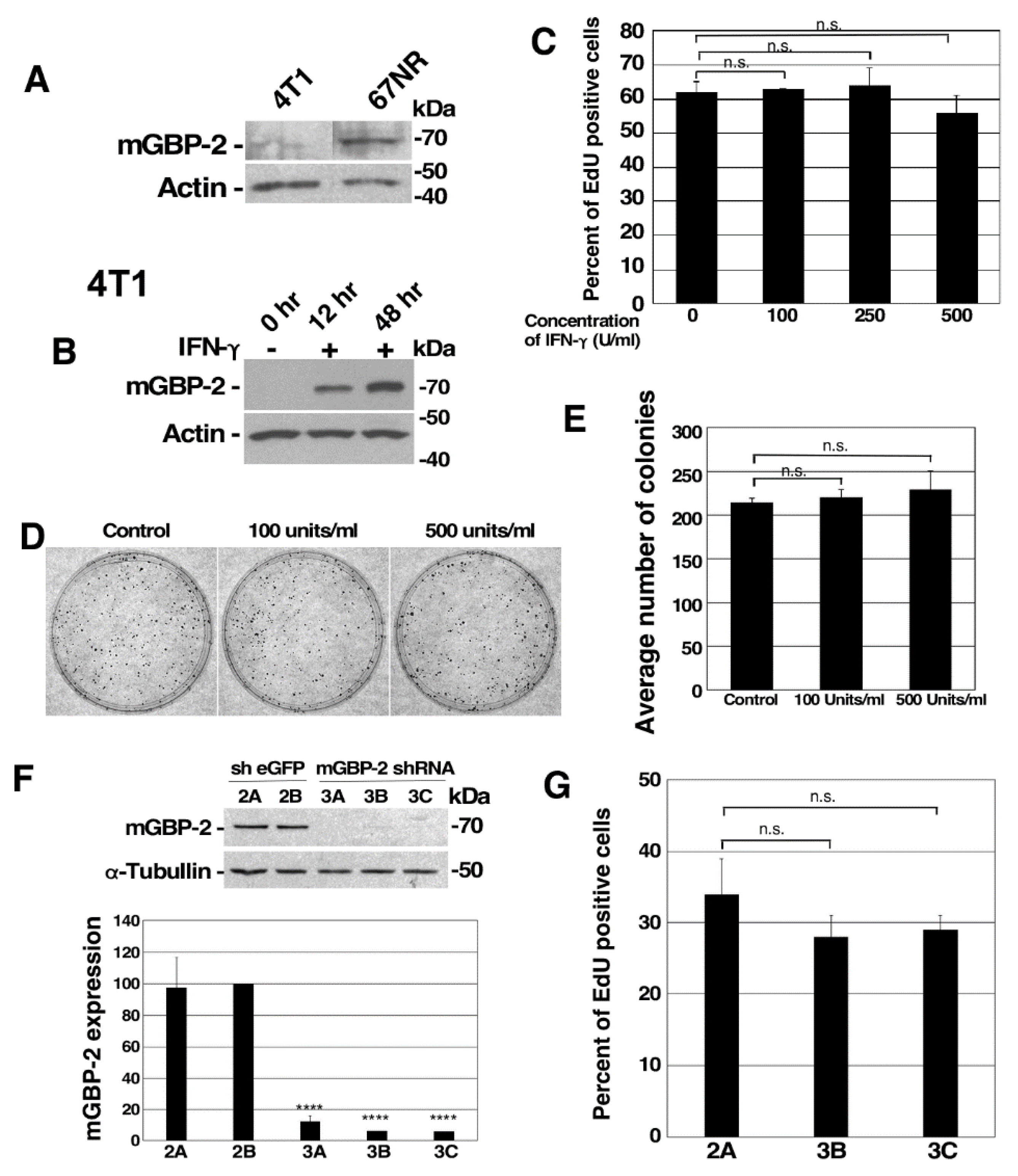 Cancers 13 05632 g002