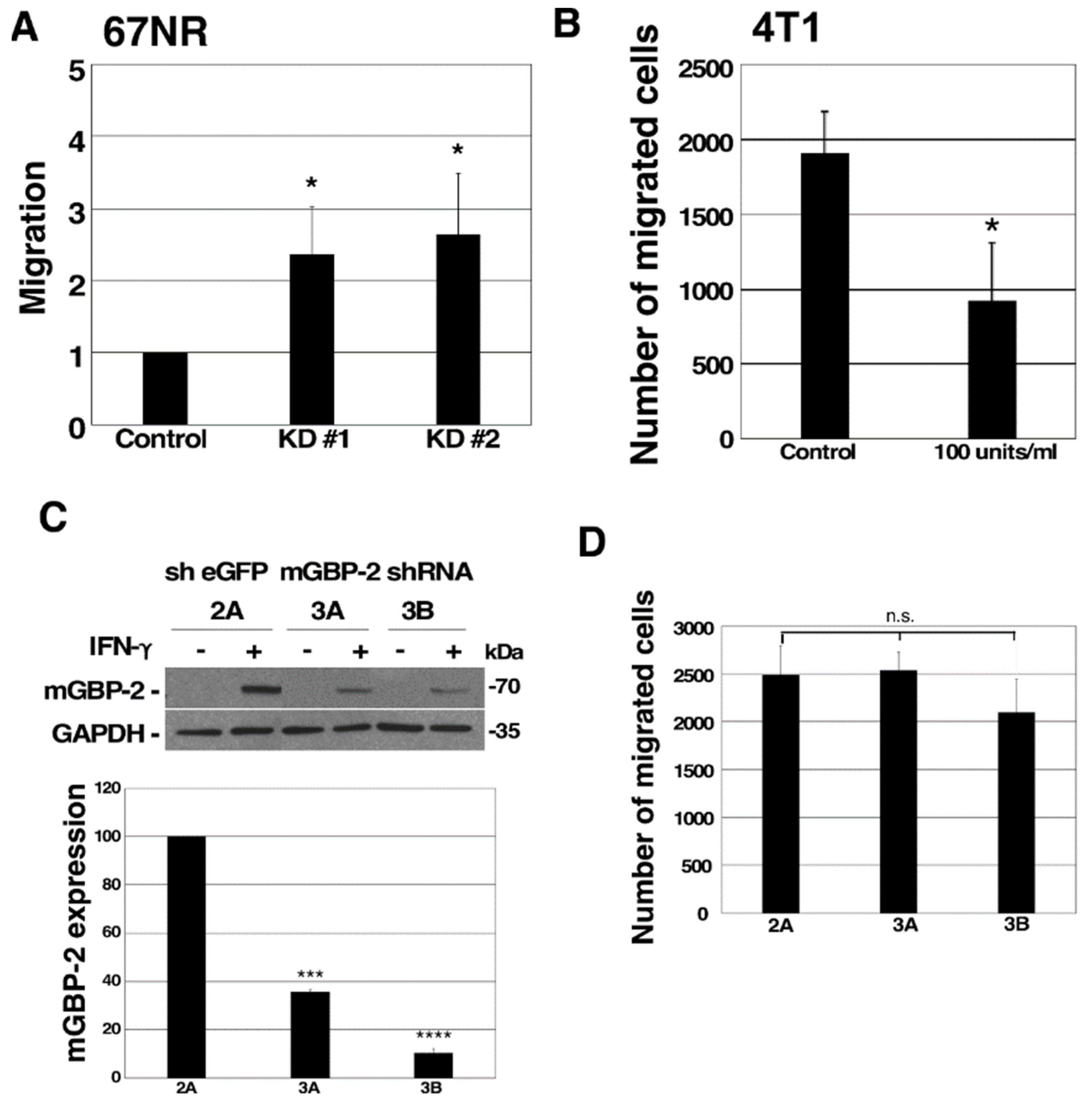 Cancers 13 05632 g003