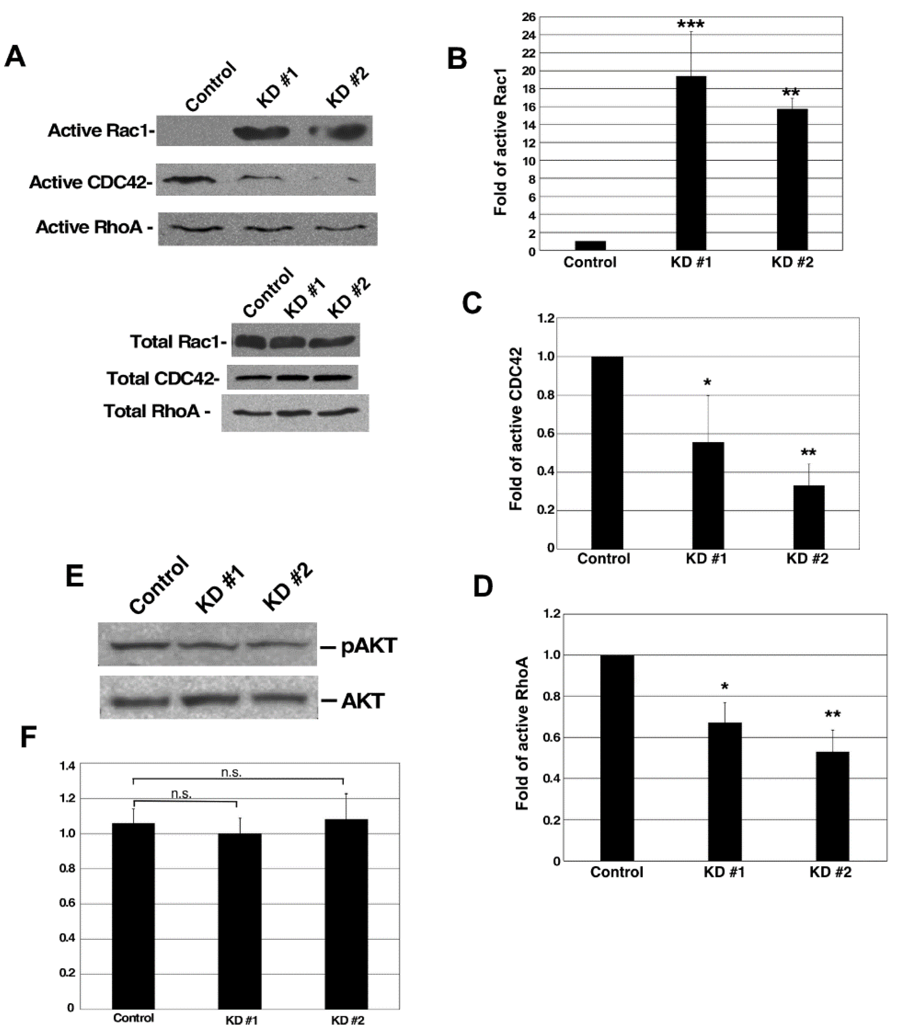 Cancers 13 05632 g006