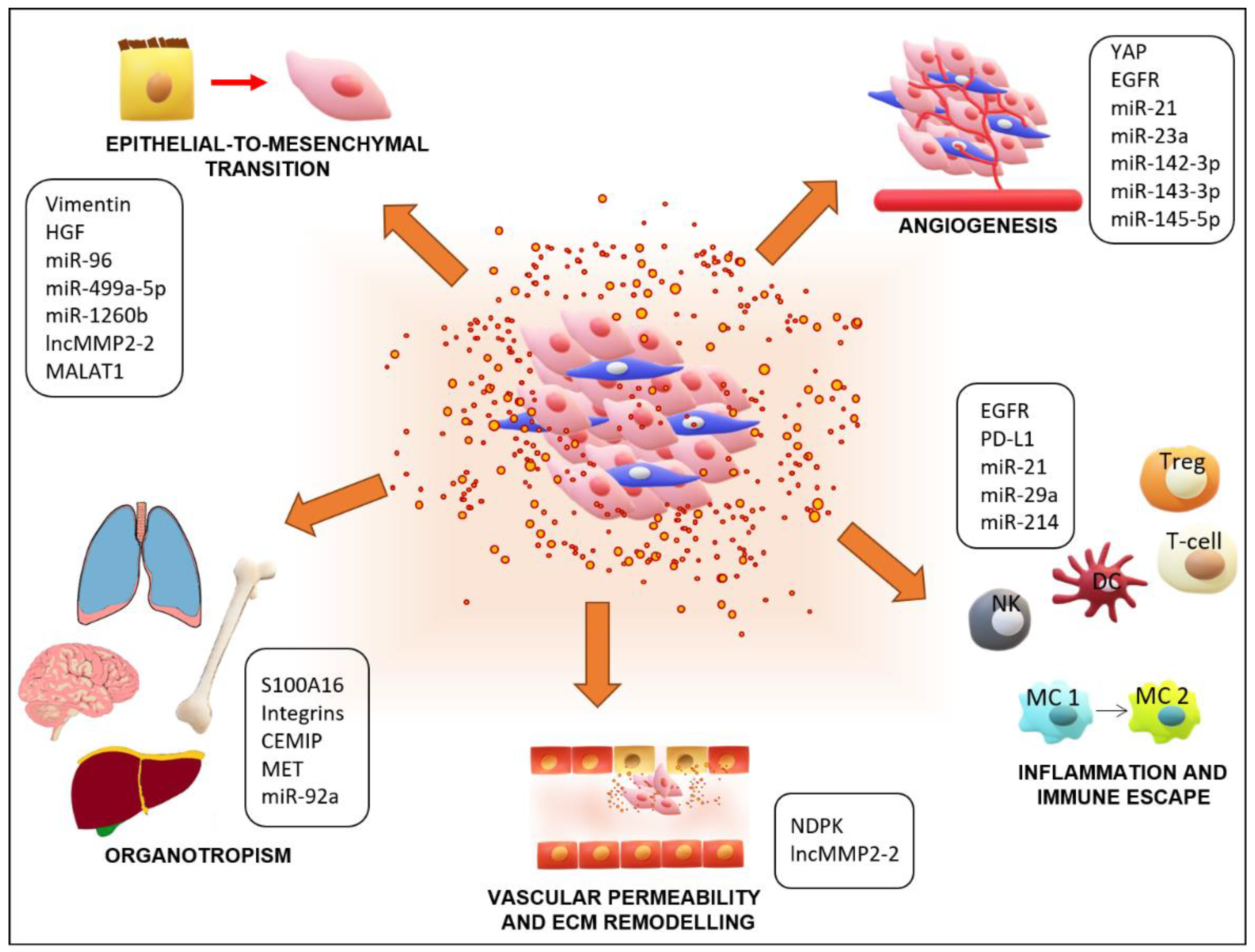 Cancers 13 05633 g002