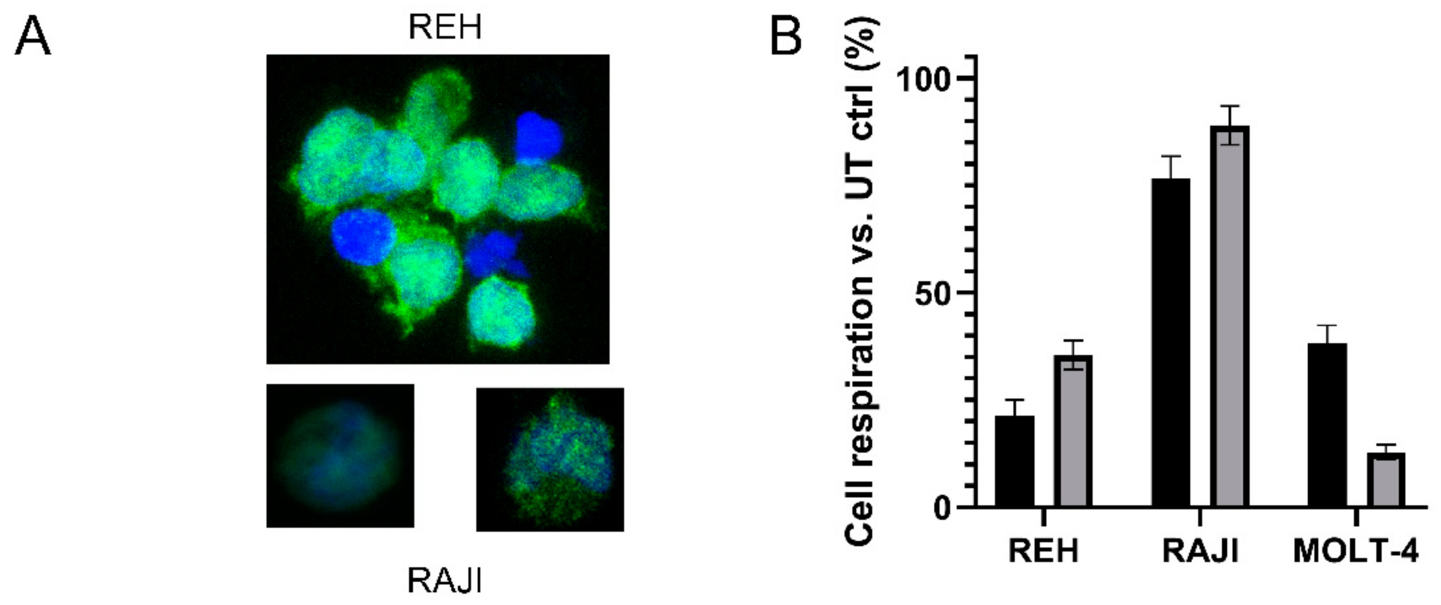 Cancers 13 05637 g005