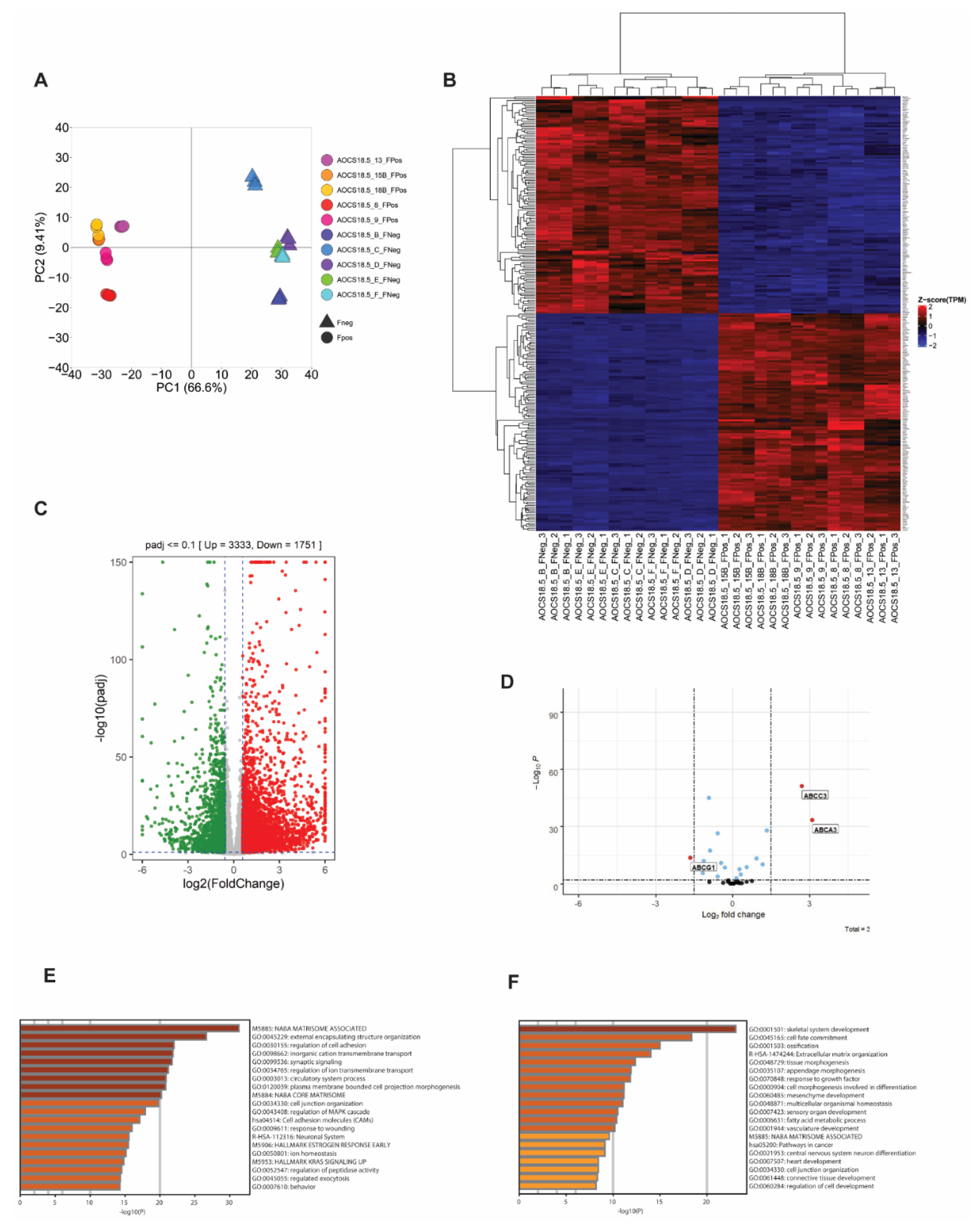 Cancers 13 05644 g002