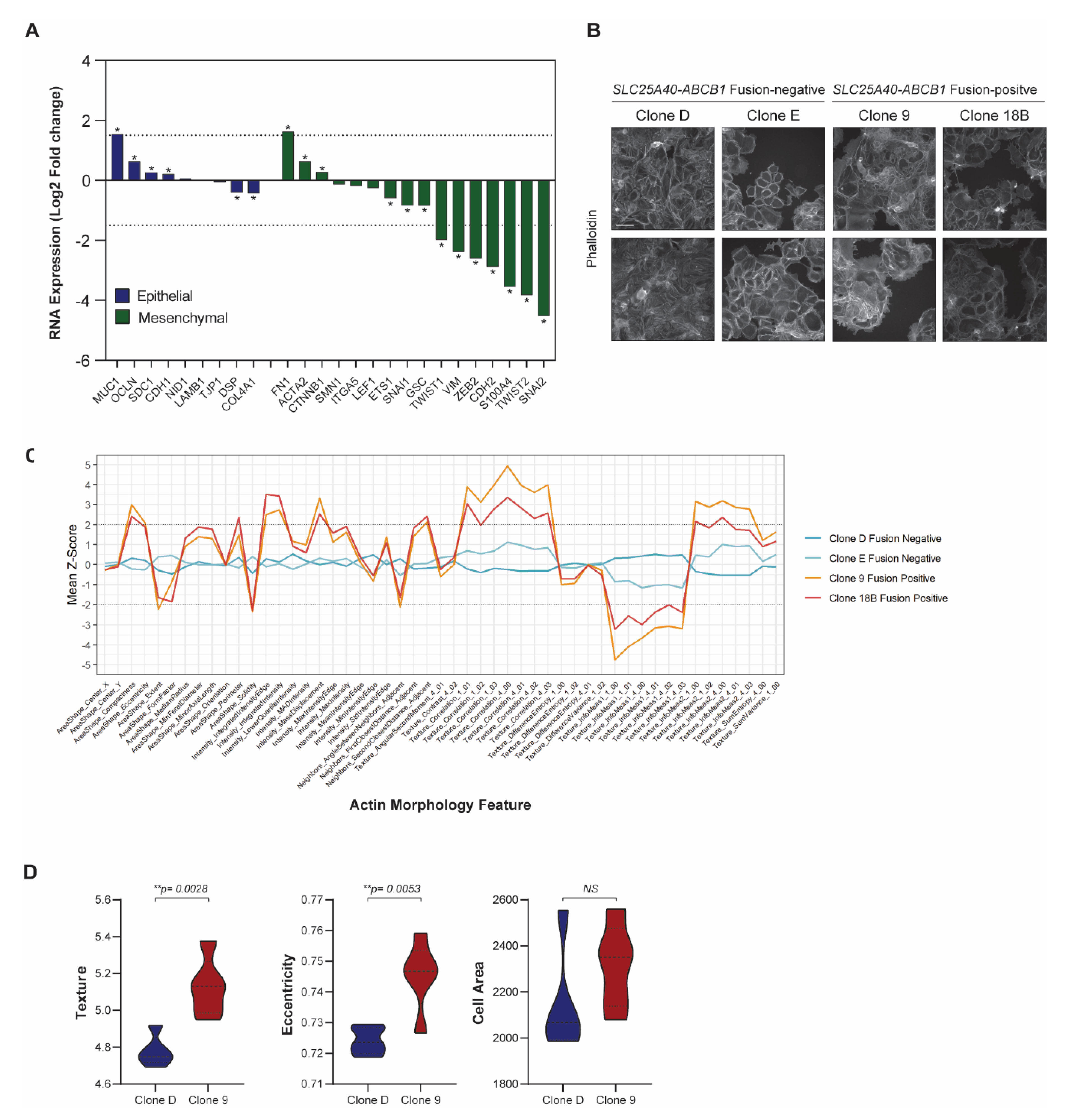 Cancers 13 05644 g004