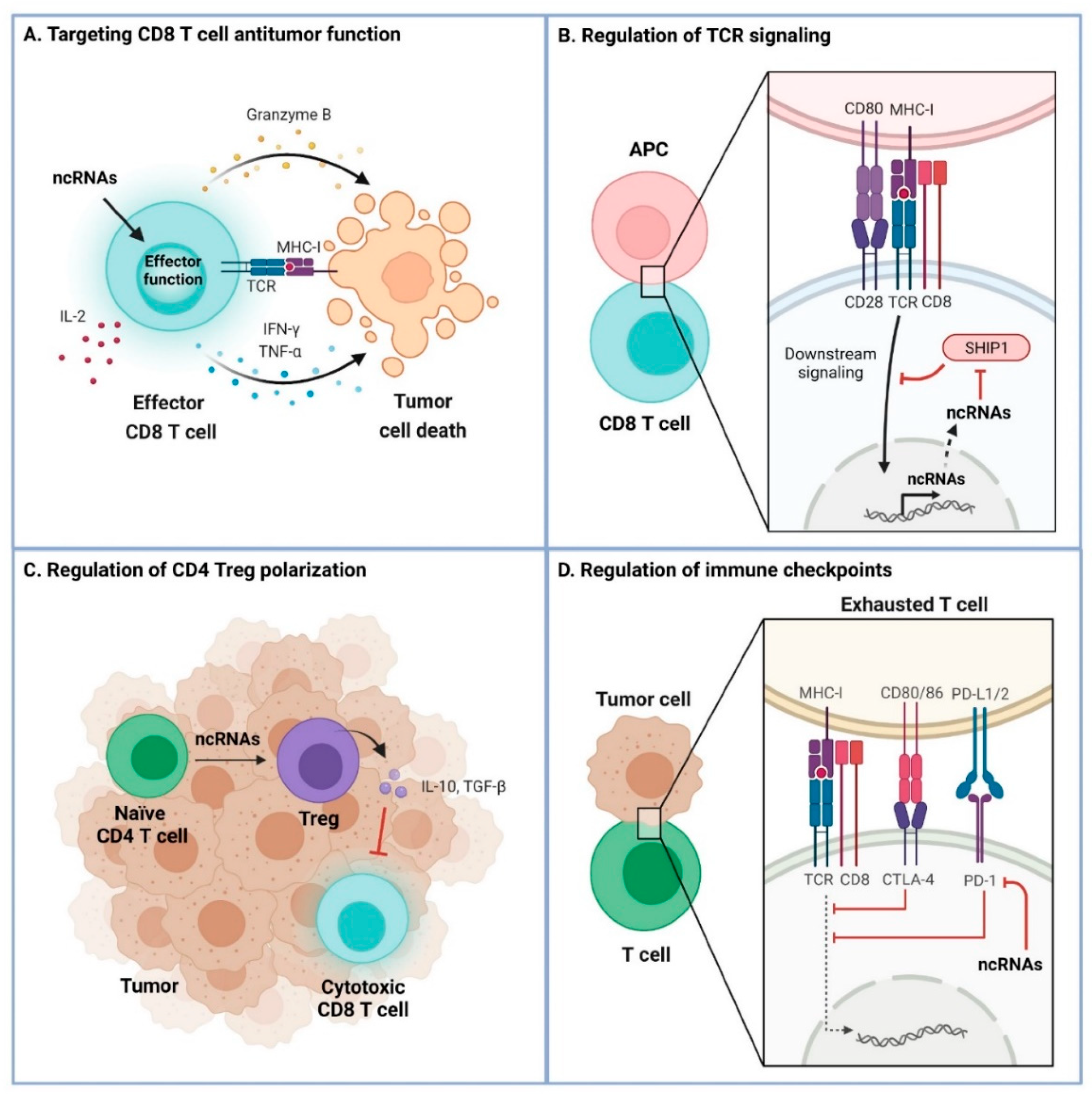 Cancers 13 05651 g002