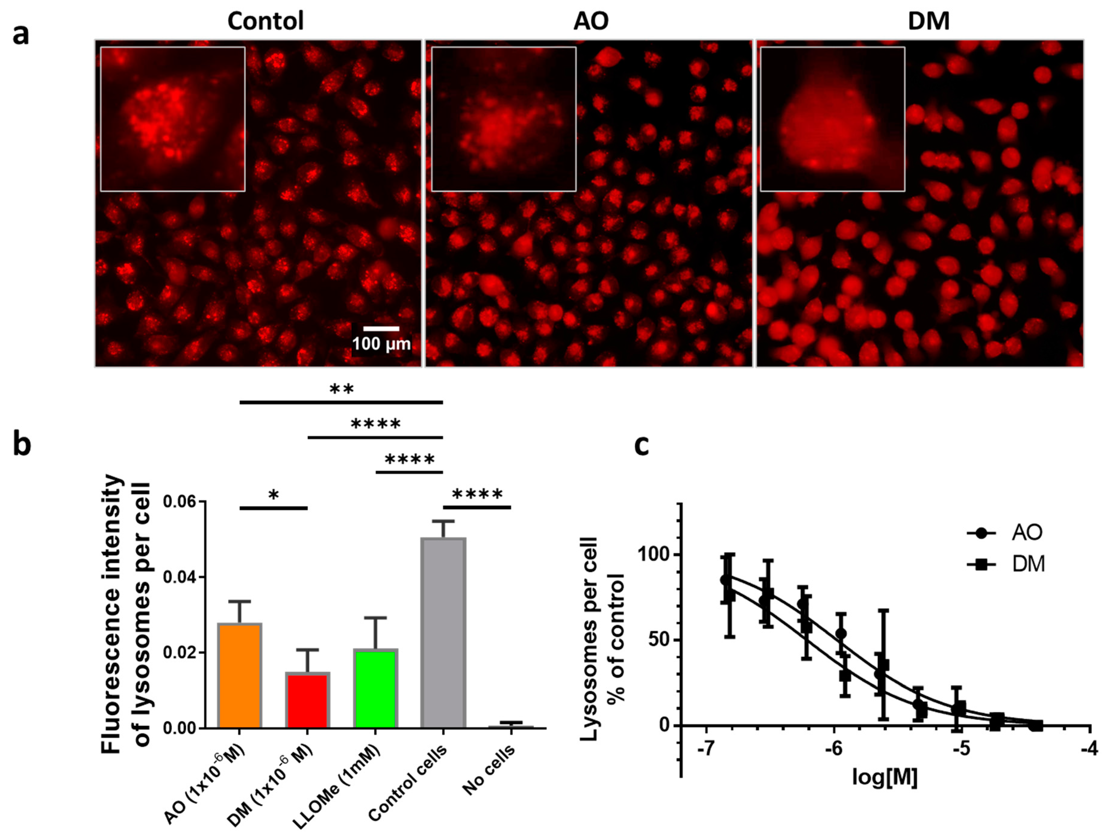 Cancers 13 05652 g008