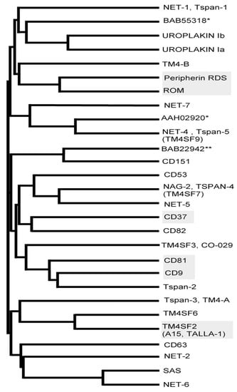 Cancers 13 05662 g001