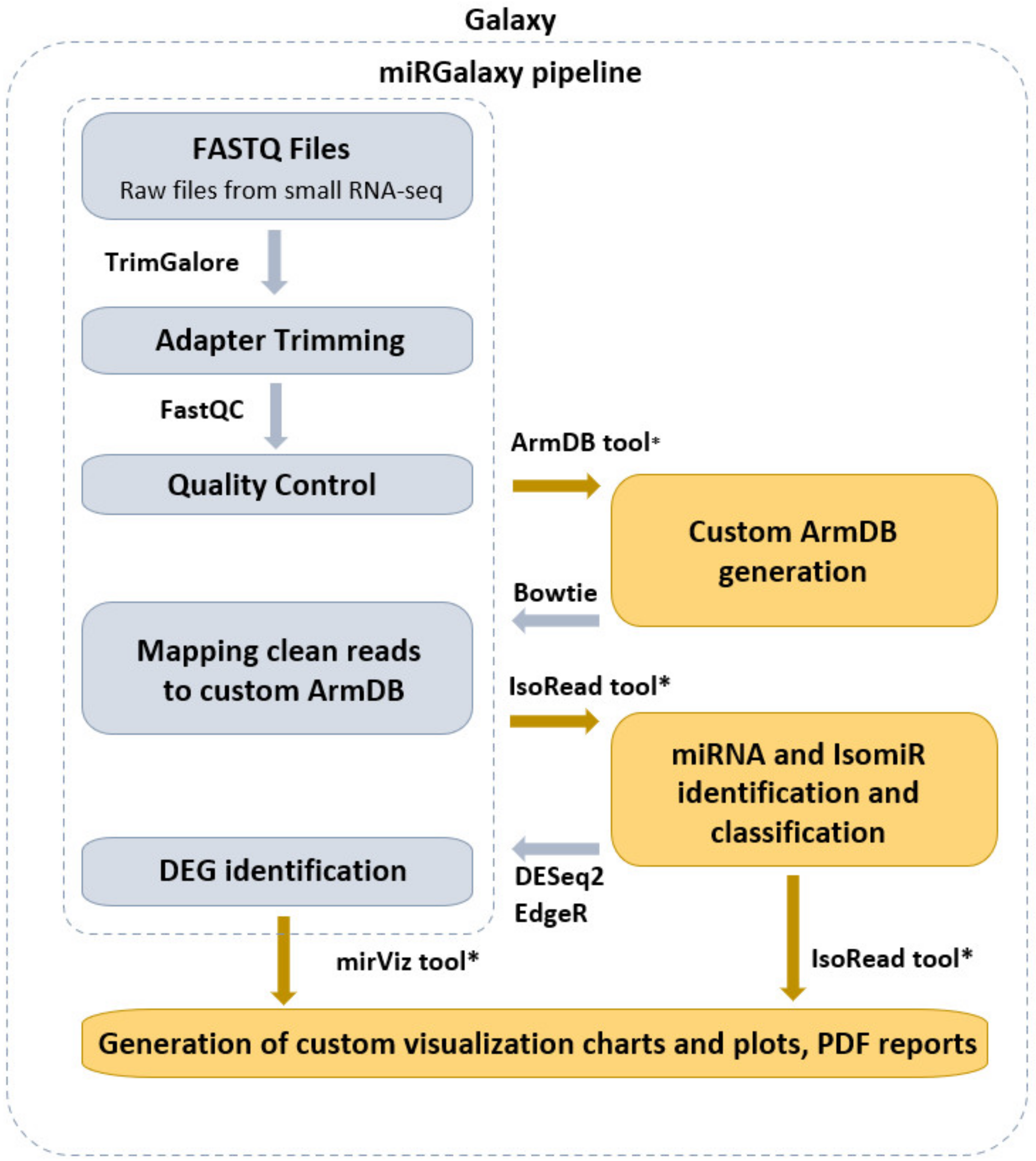 Cancers 13 05663 g001