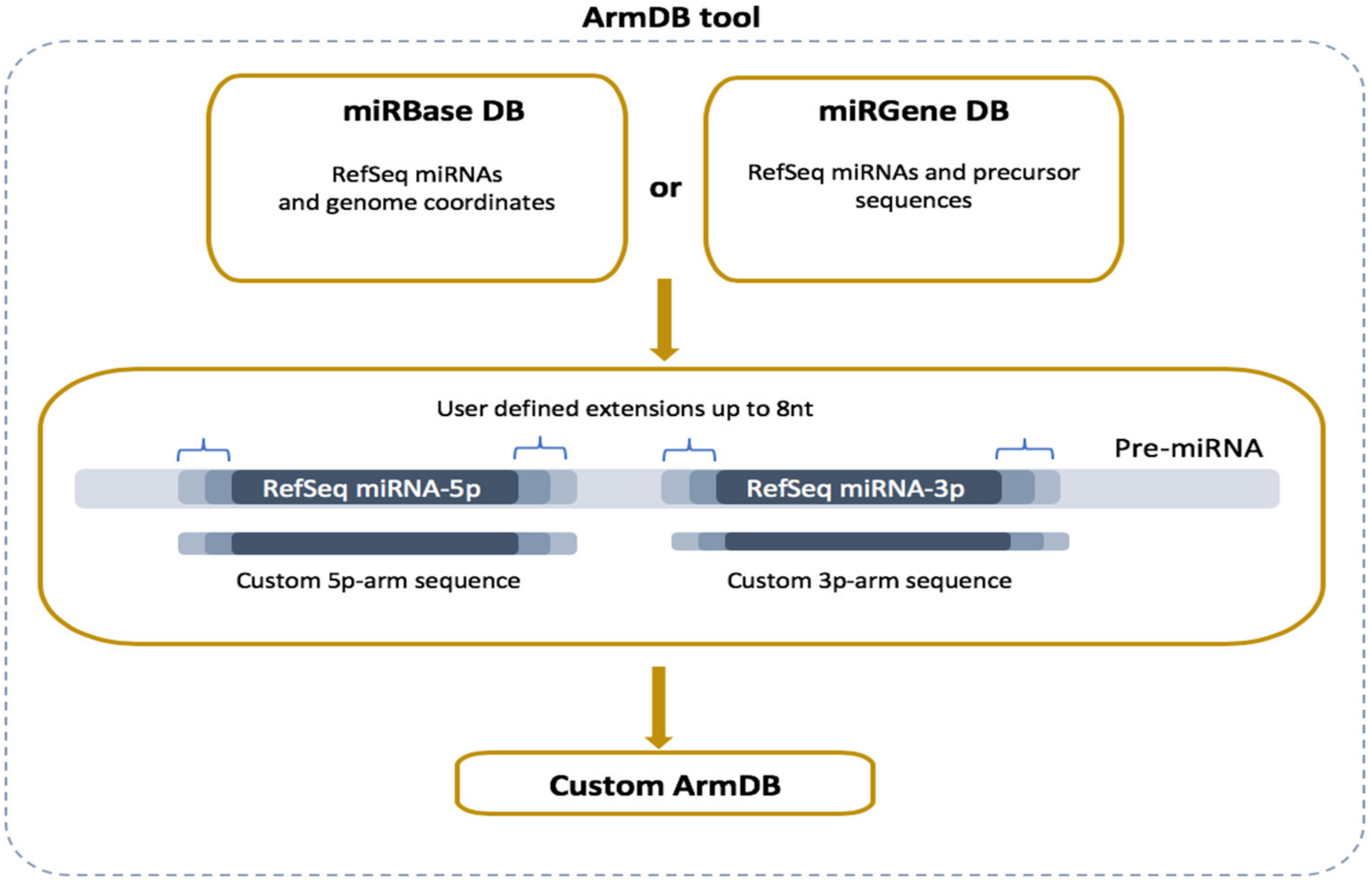 Cancers 13 05663 g002
