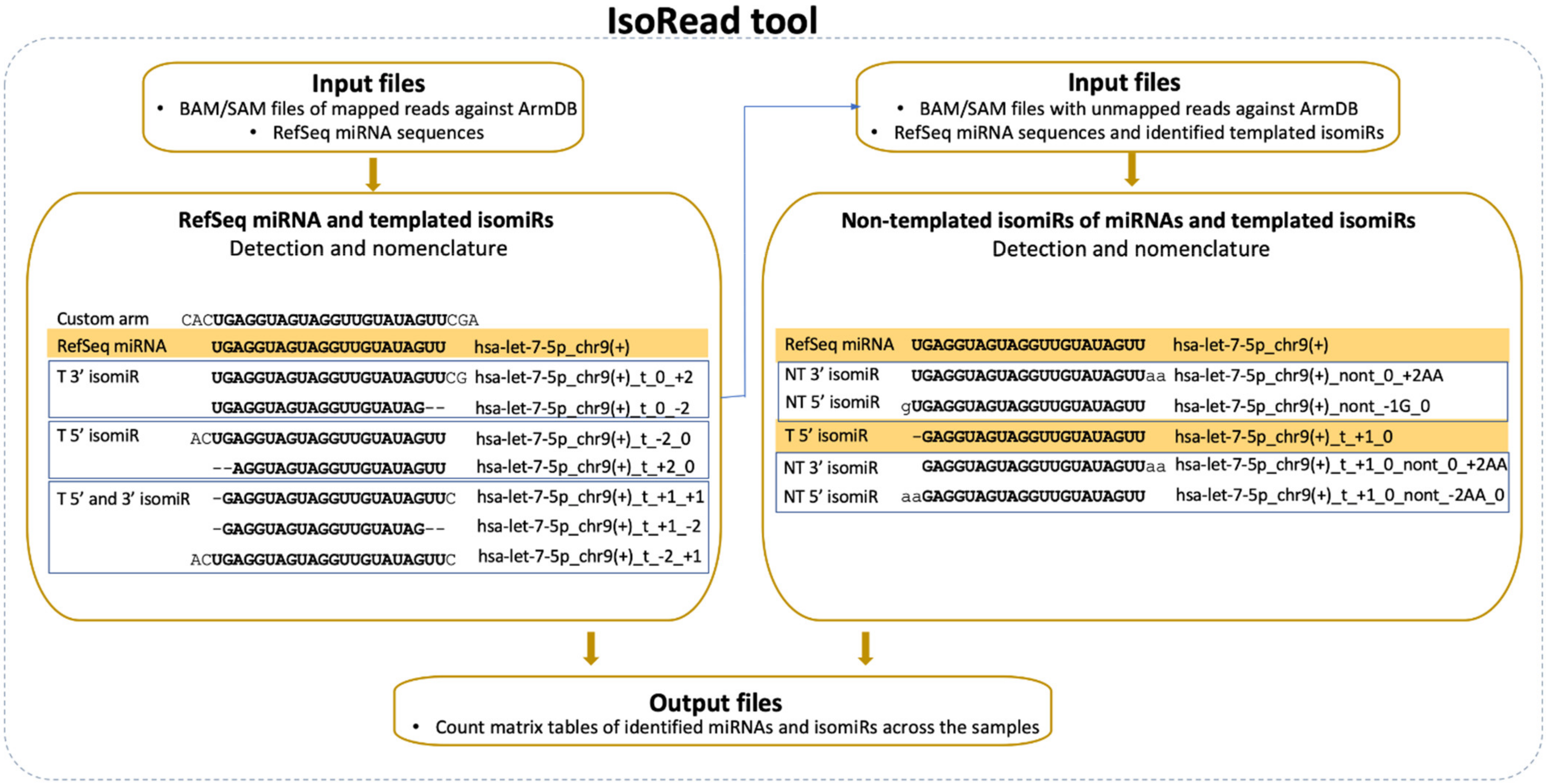 Cancers 13 05663 g003