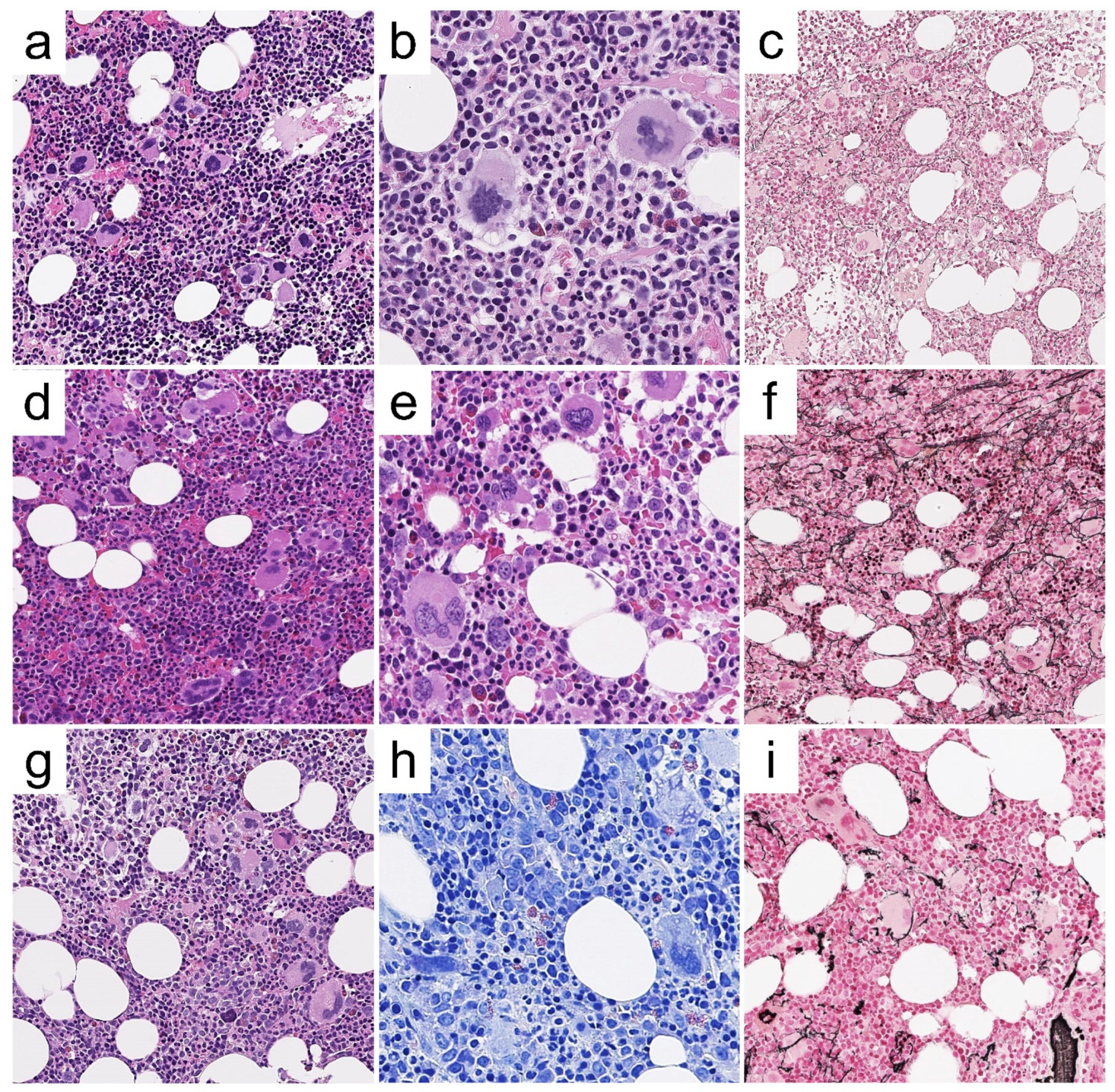 Cancers 13 05666 g003