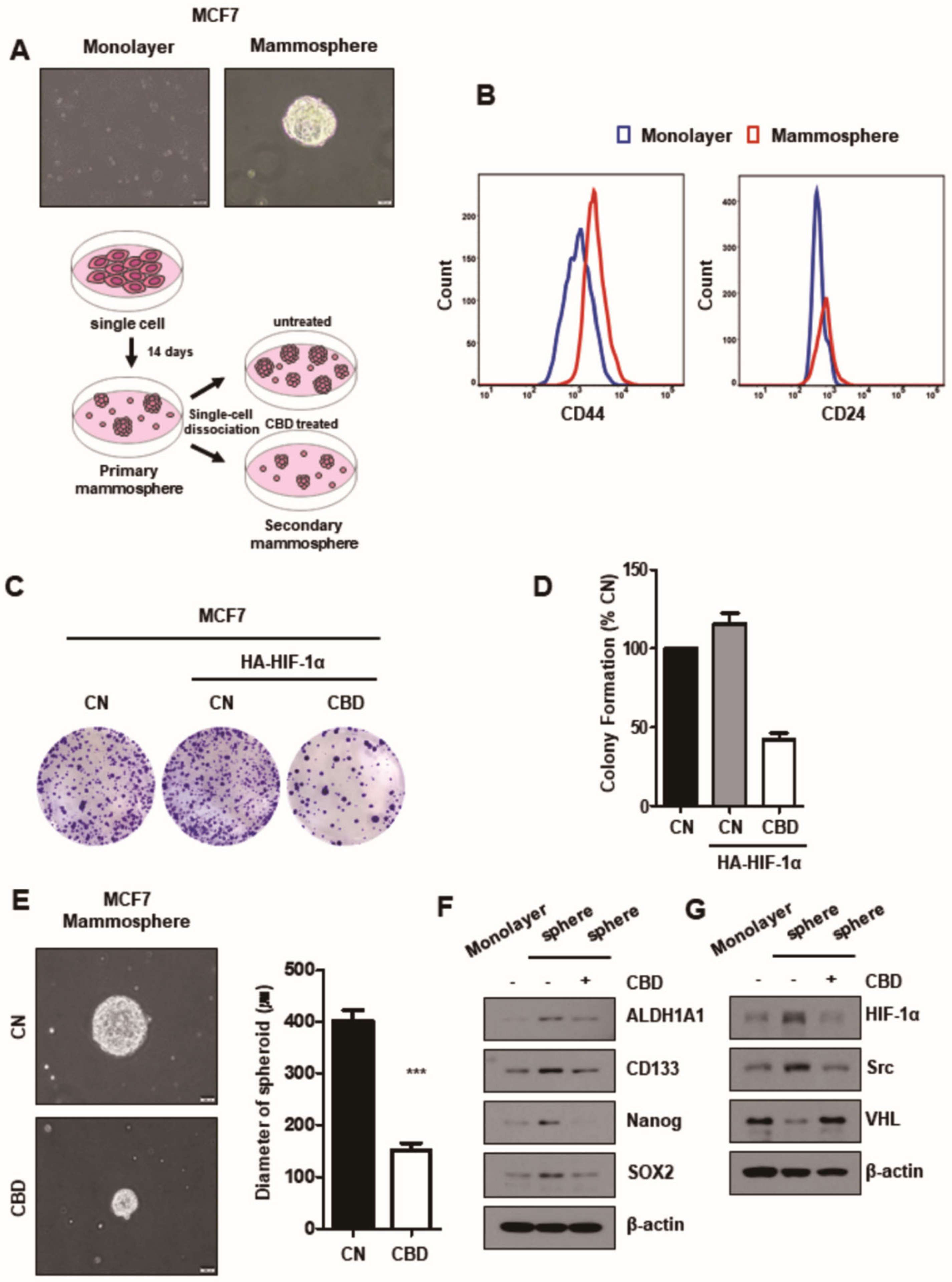 Cancers 13 05667 g005