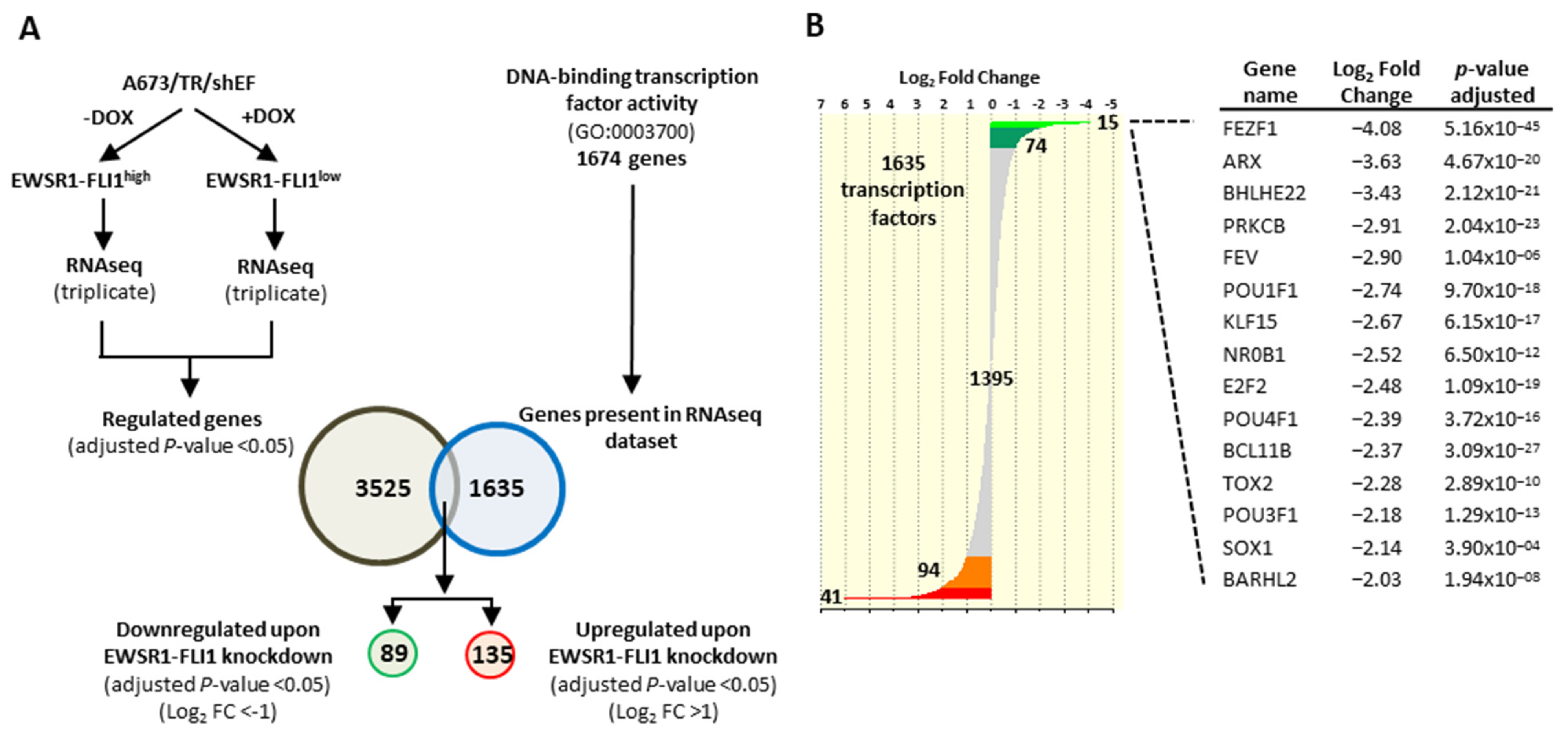 Cancers 13 05668 g001