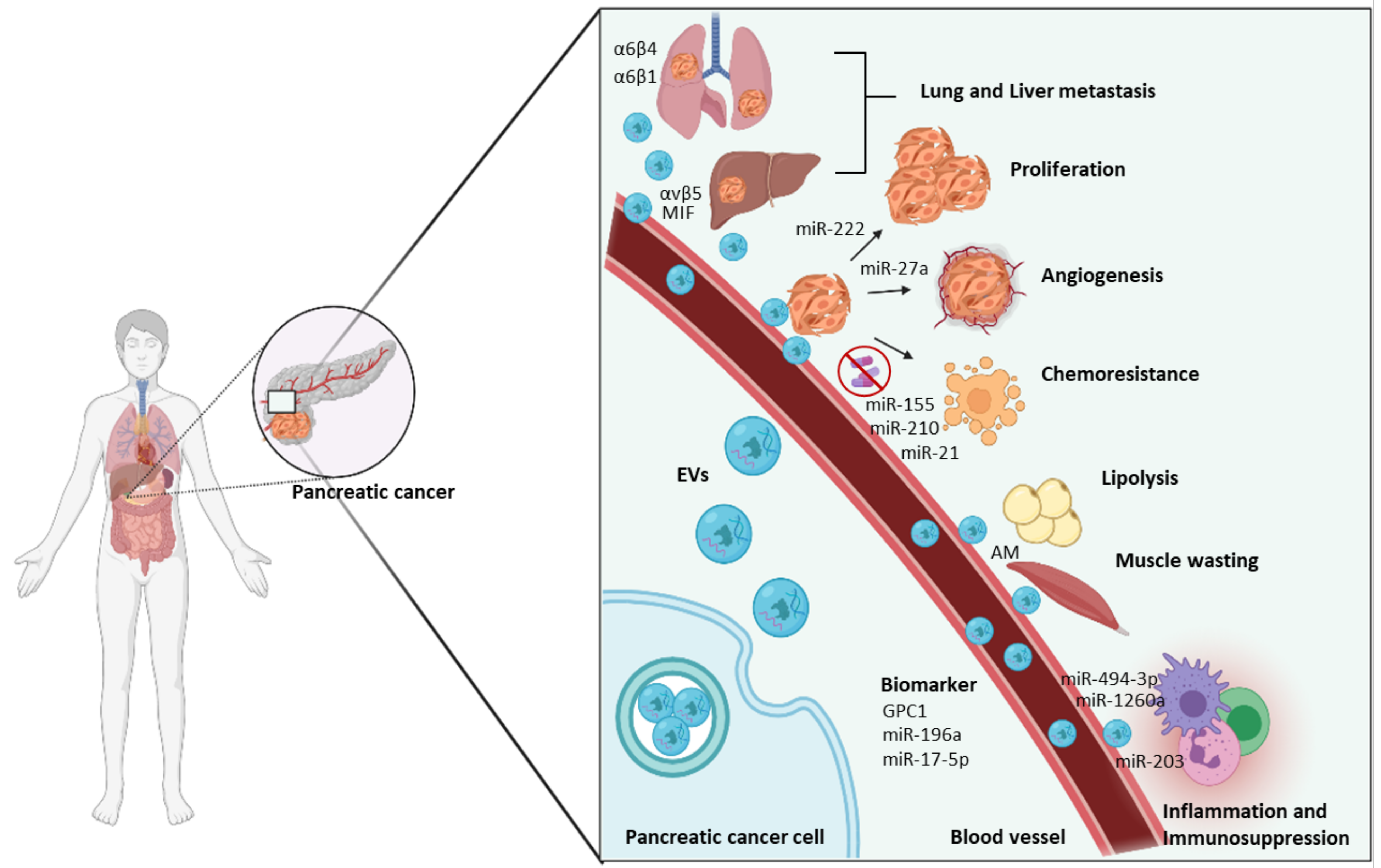 Cancers 13 05669 g002