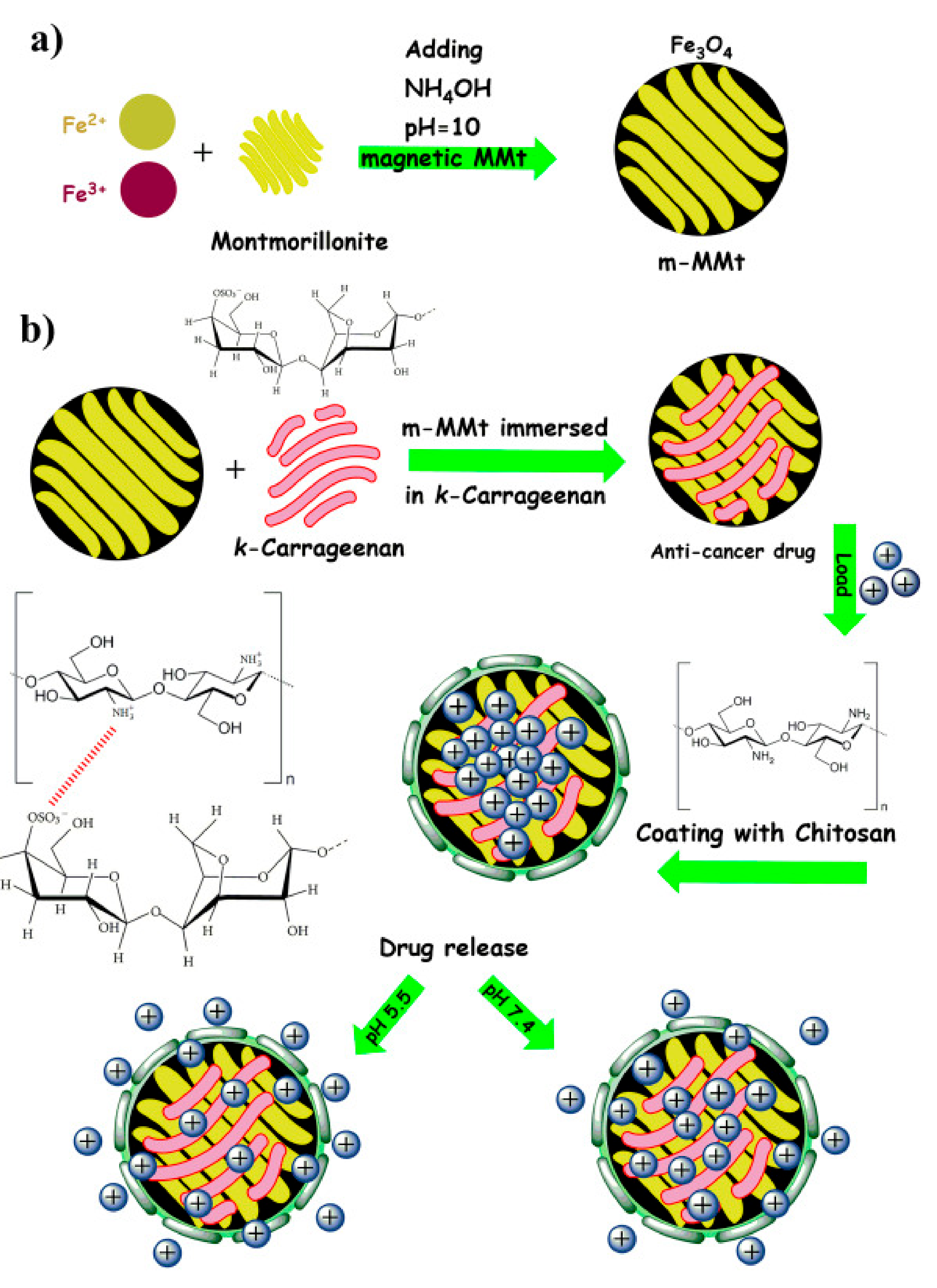 Cancers 13 05686 g001