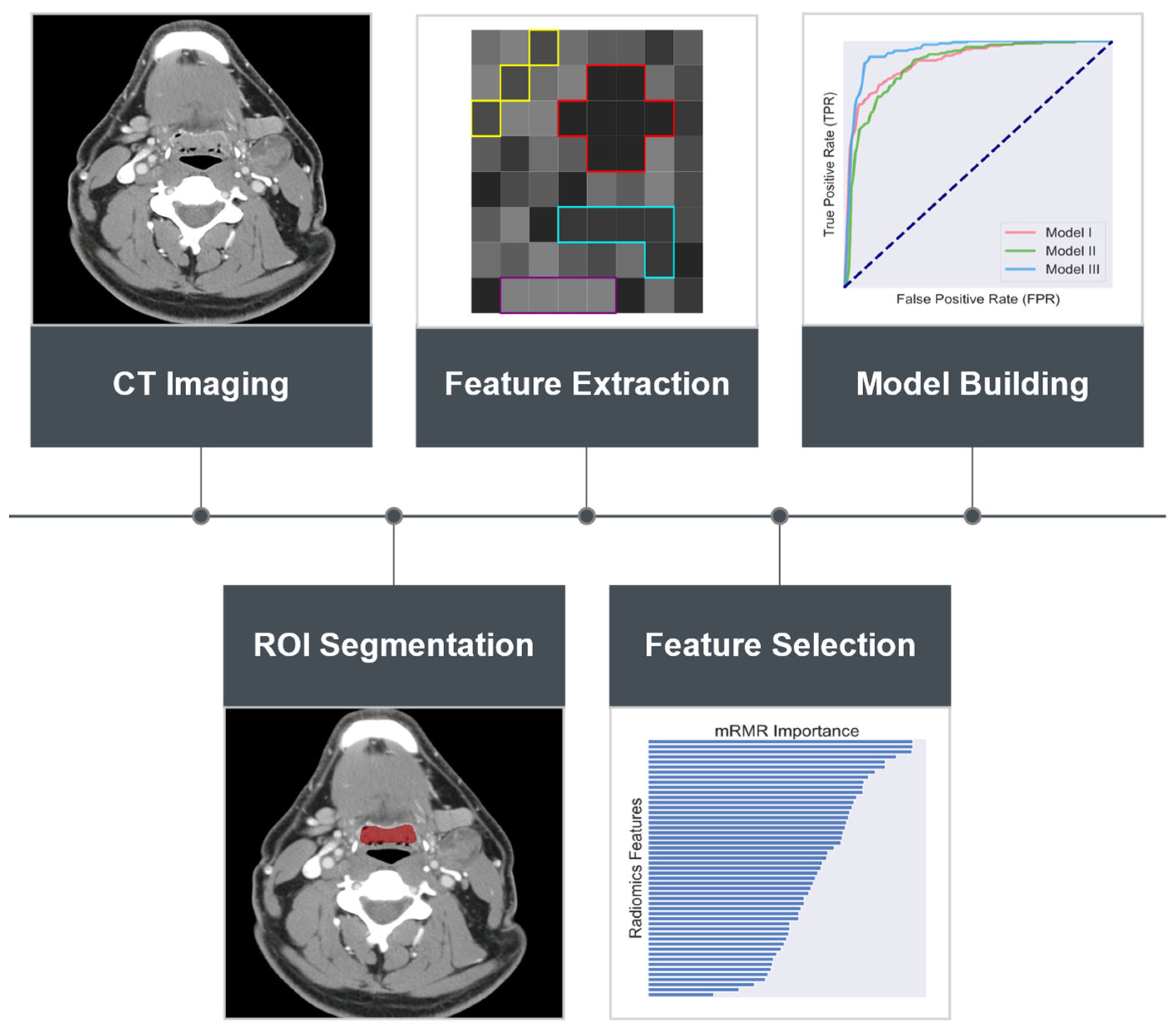 Cancers 13 05689 g001