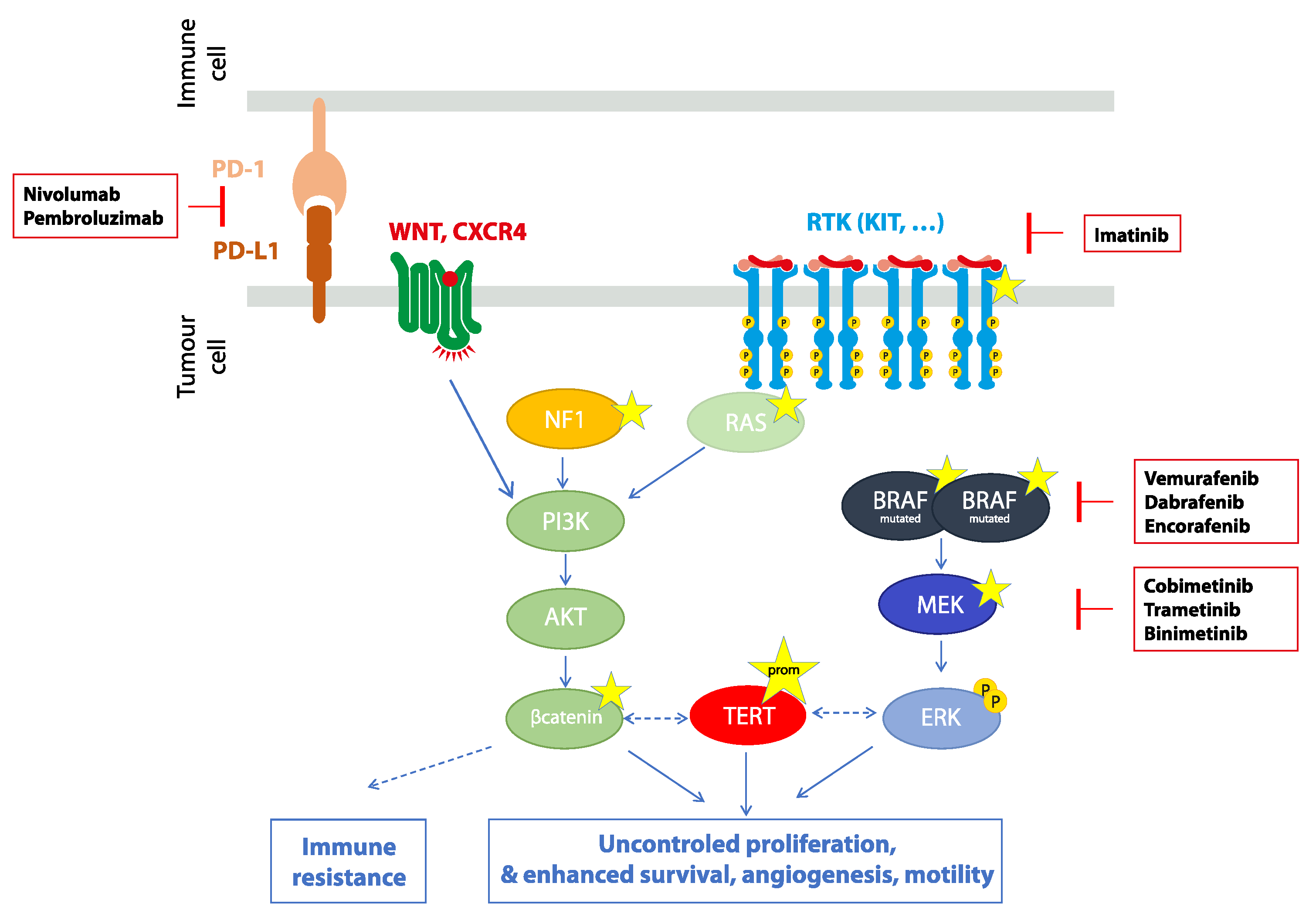Cancers 13 05691 g002 Cancers 13 05691 g002