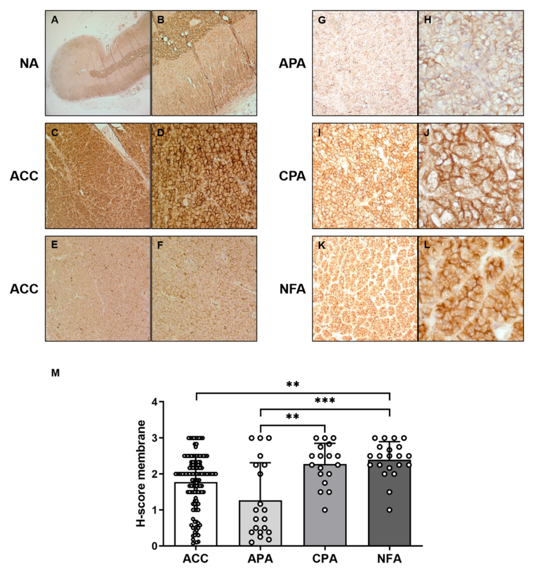 Cancers 13 05693 g001