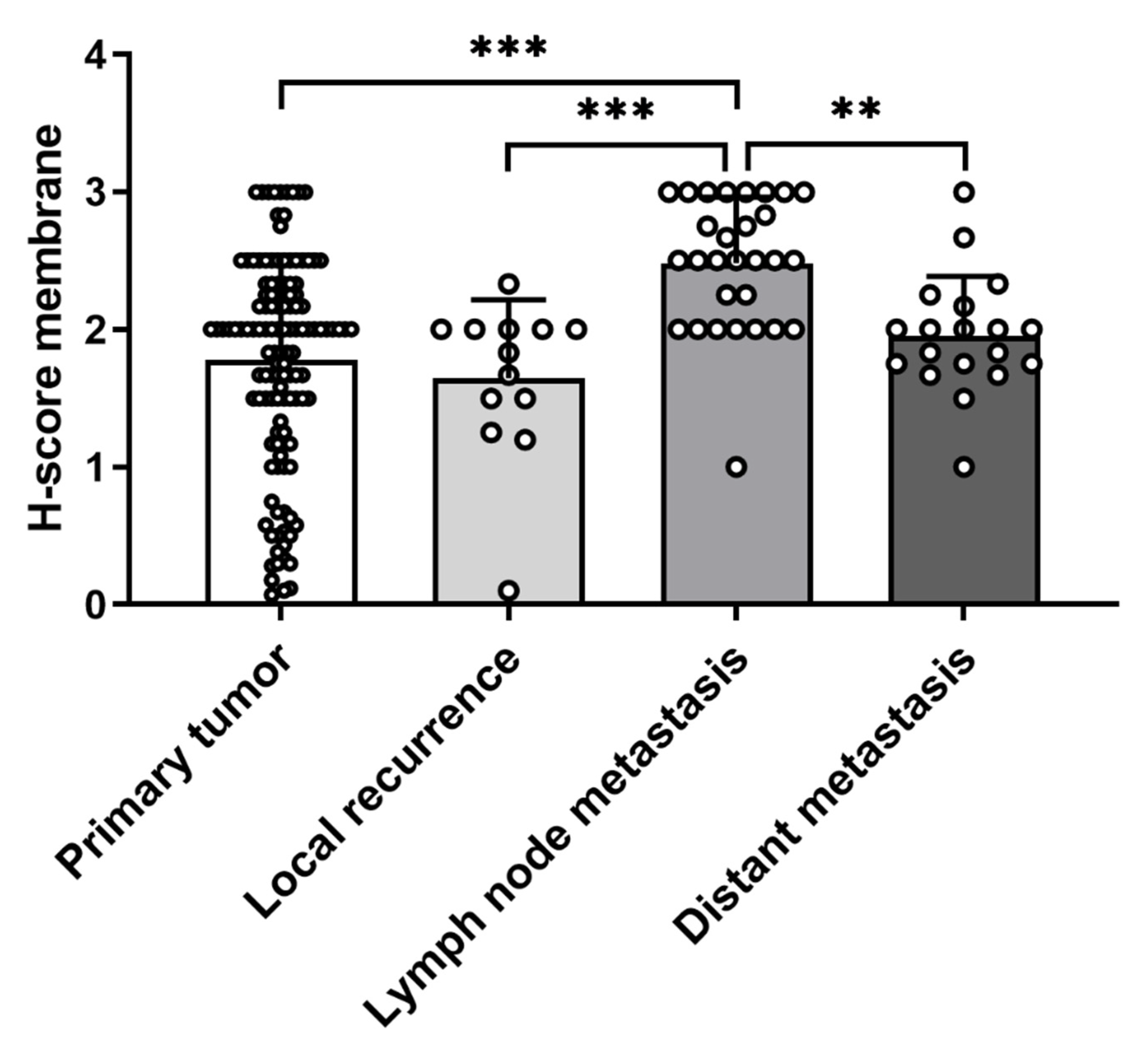 Cancers 13 05693 g002