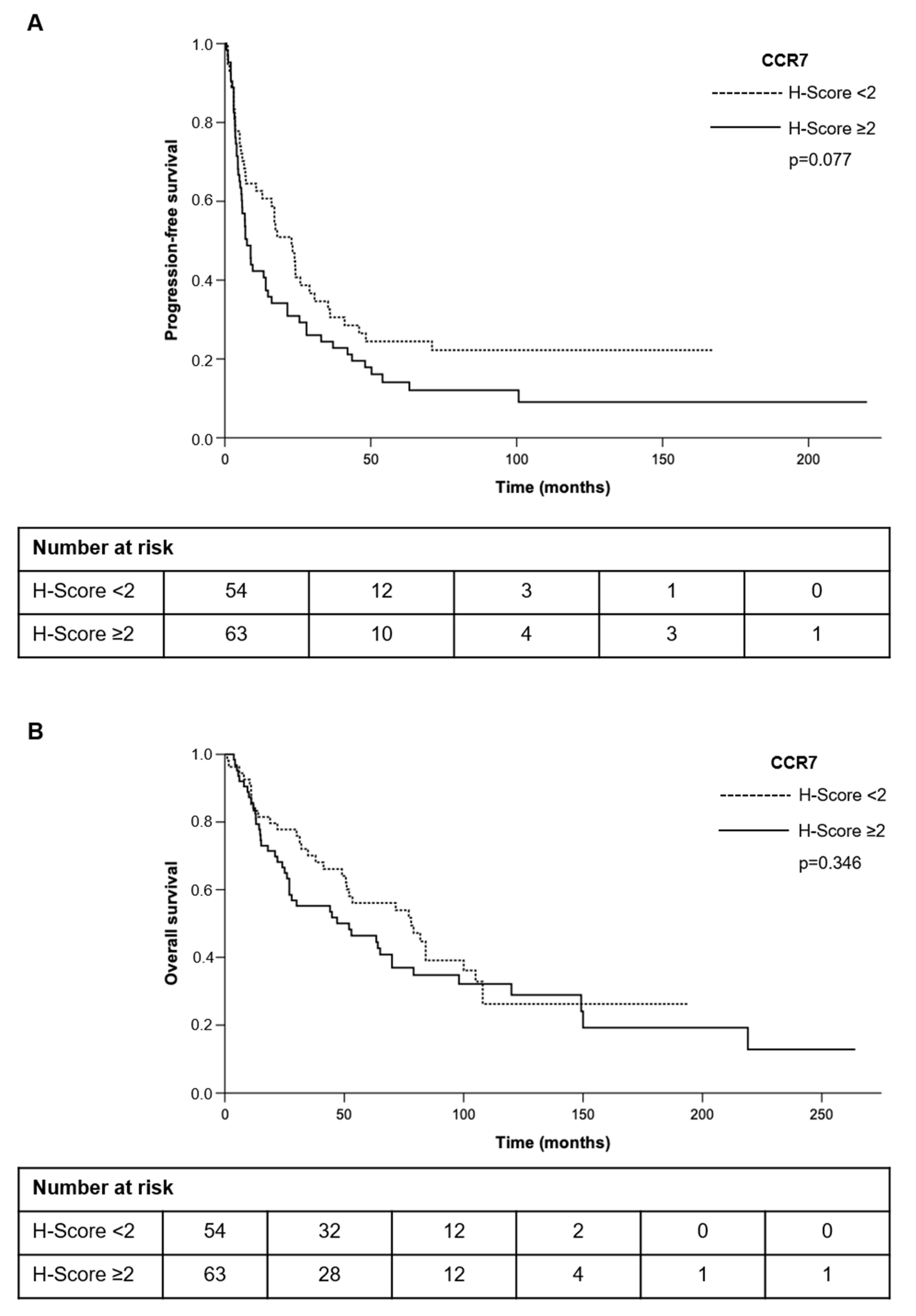 Cancers 13 05693 g005