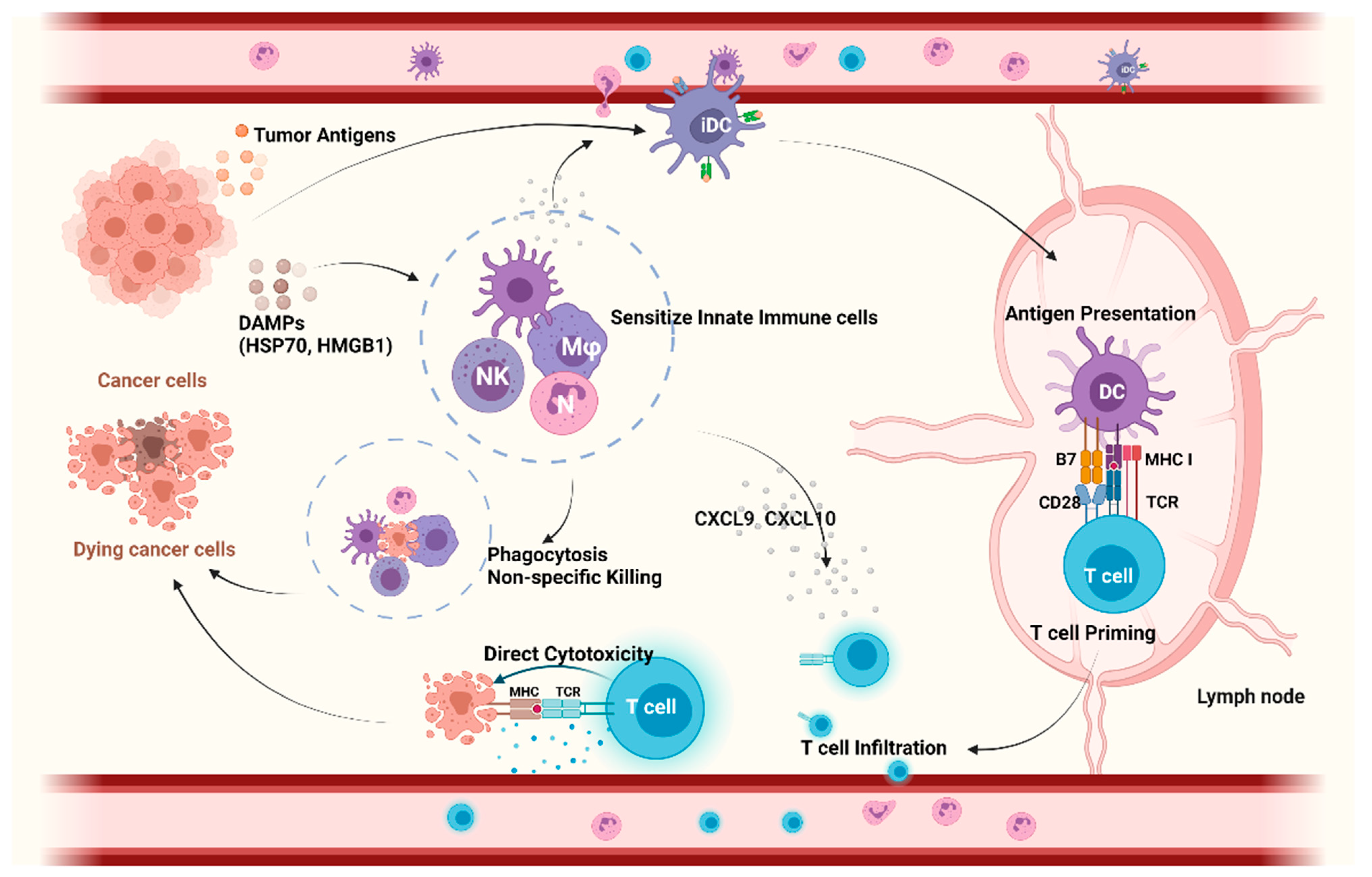 Cancers 13 05695 g001