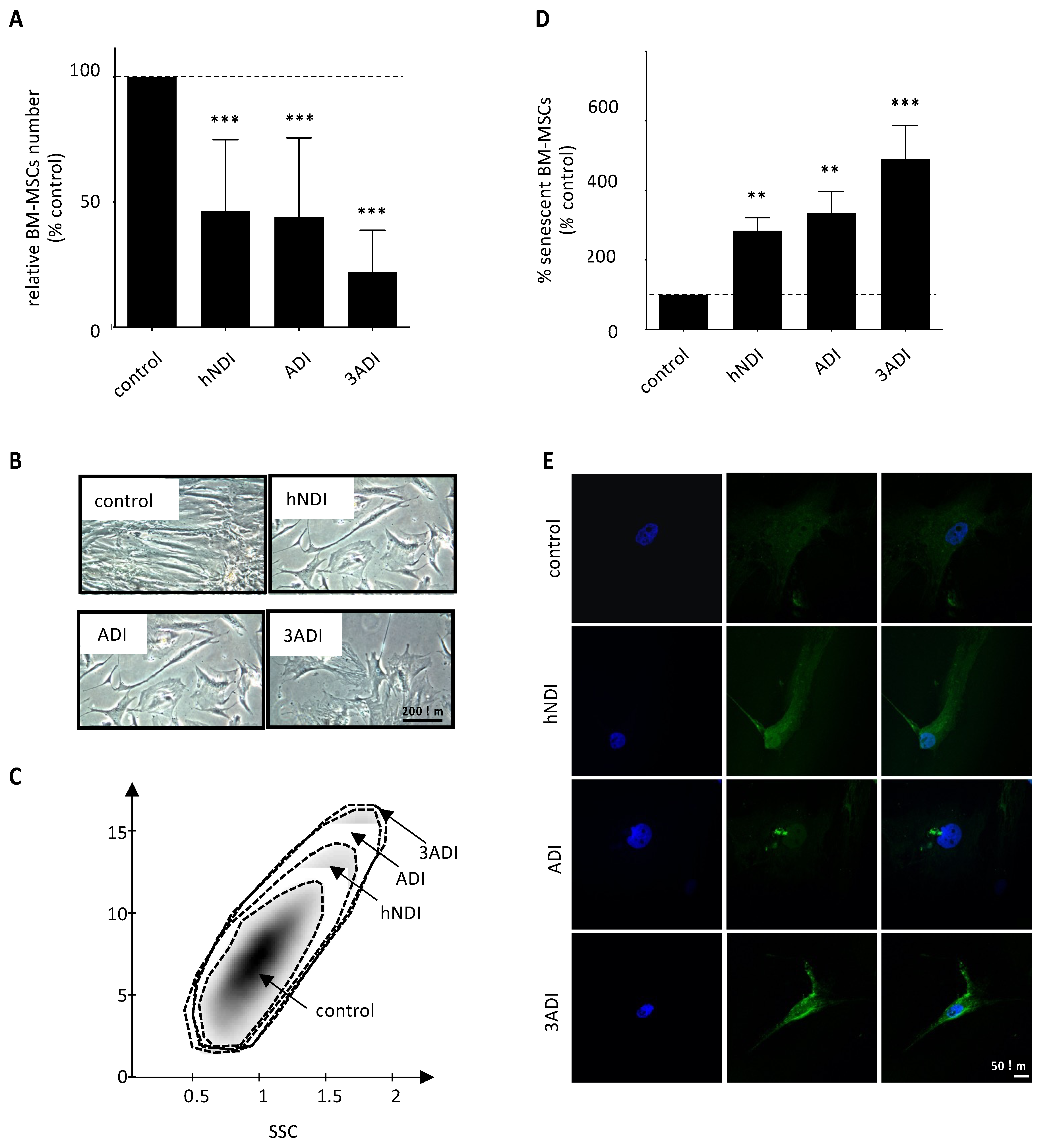 Cancers 13 05699 g001