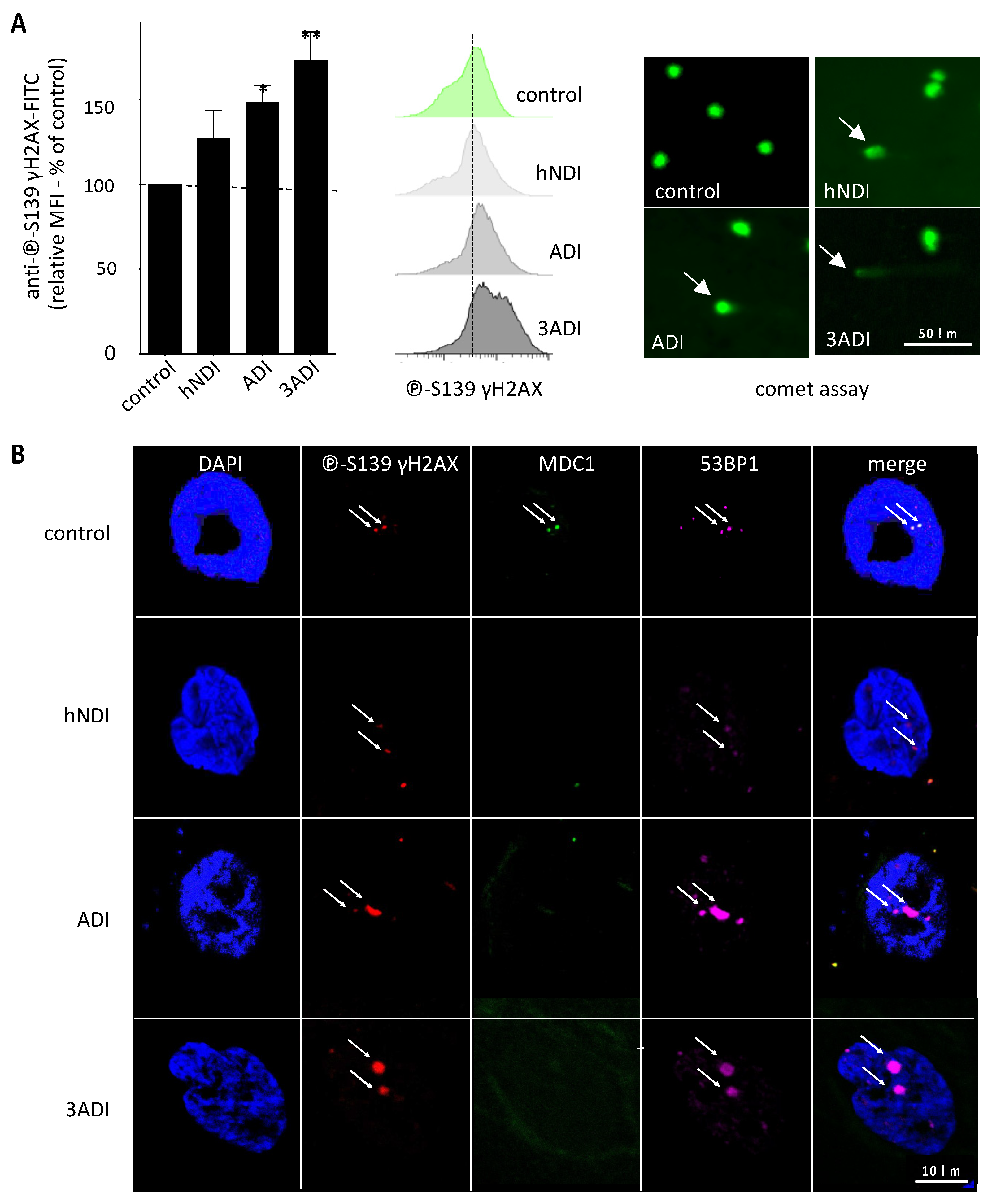 Cancers 13 05699 g002