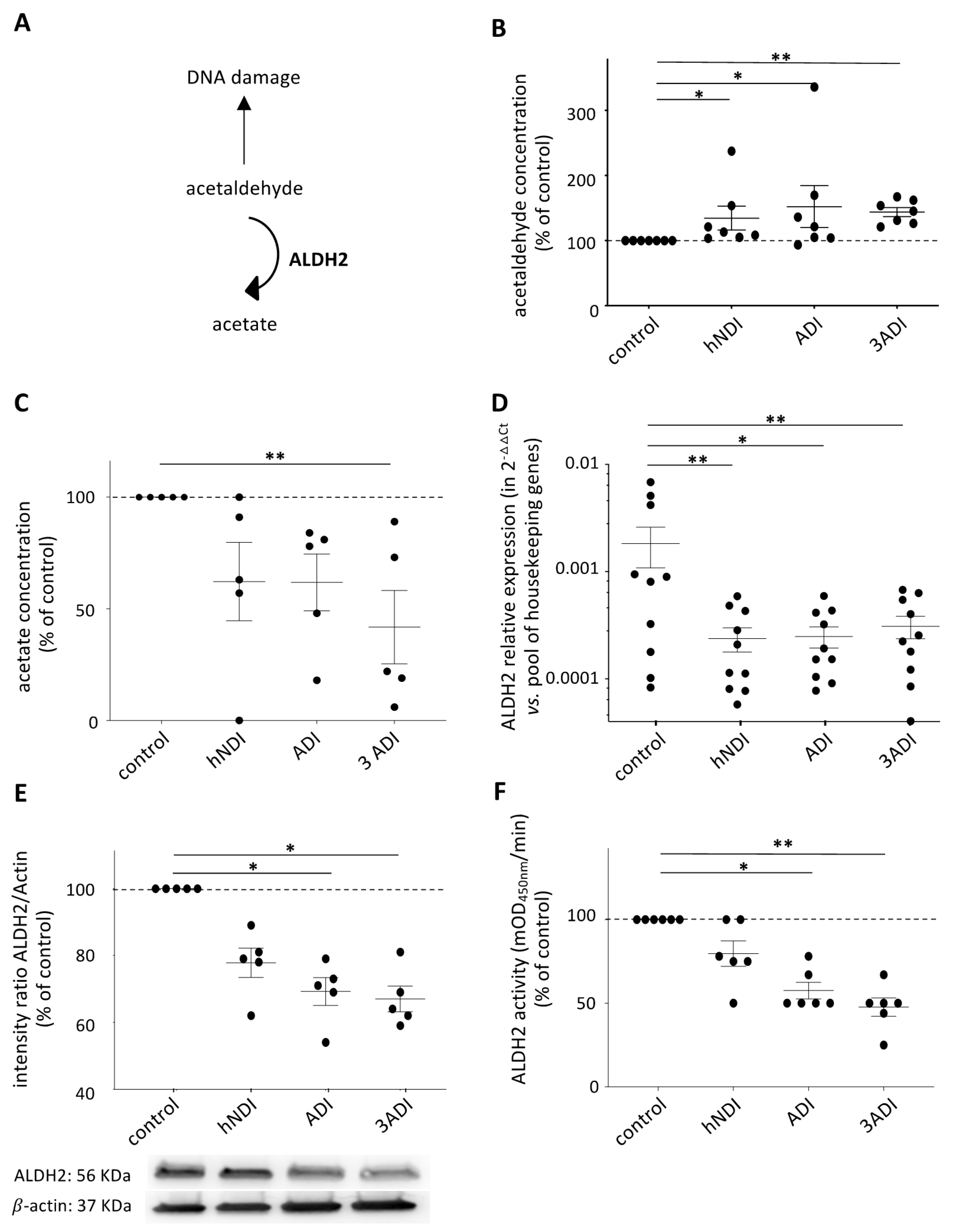 Cancers 13 05699 g003