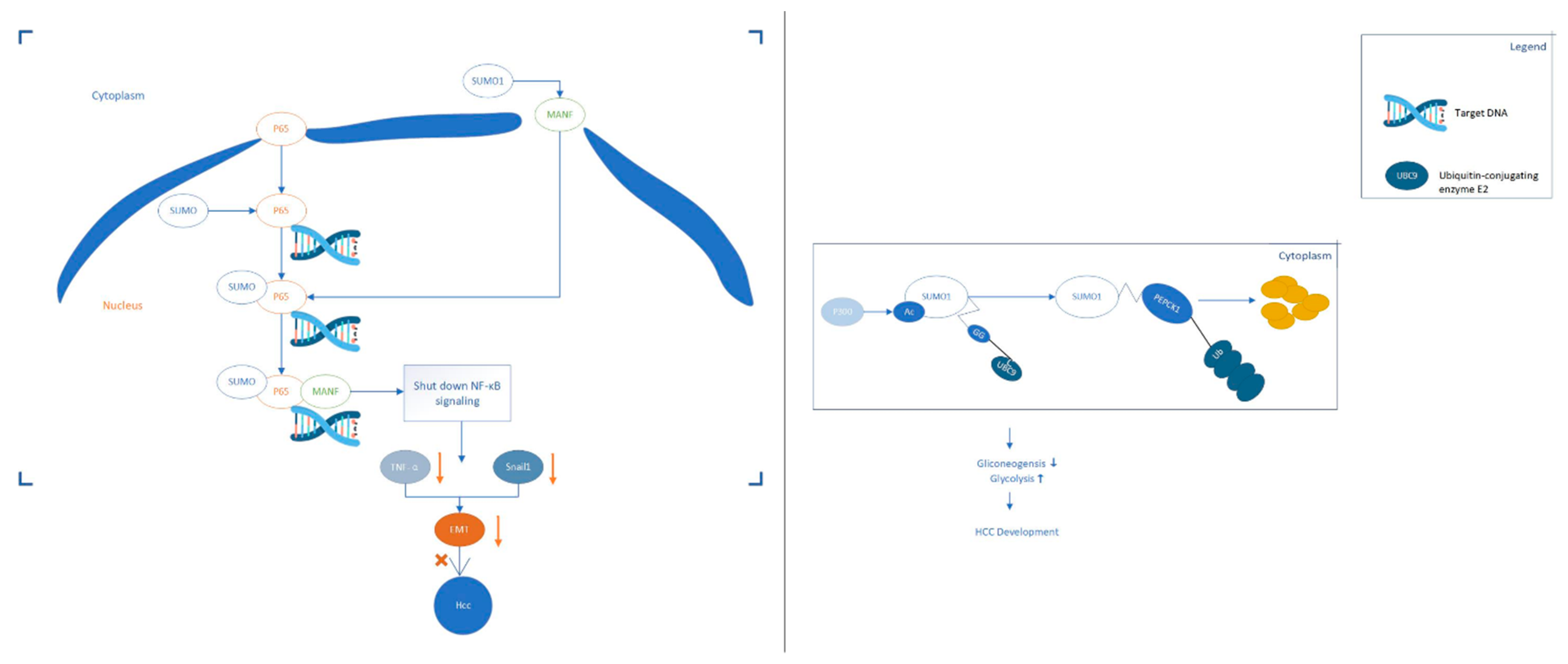 Cancers 13 05700 g001 Cancers 13 05700 g001