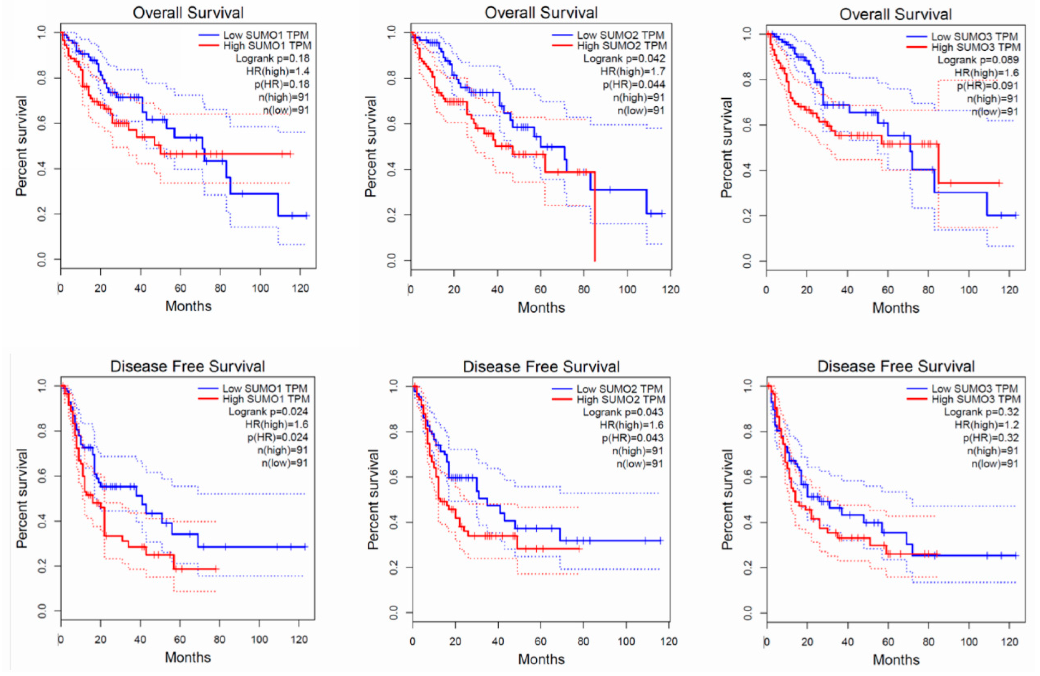 Cancers 13 05700 g004 Cancers 13 05700 g004