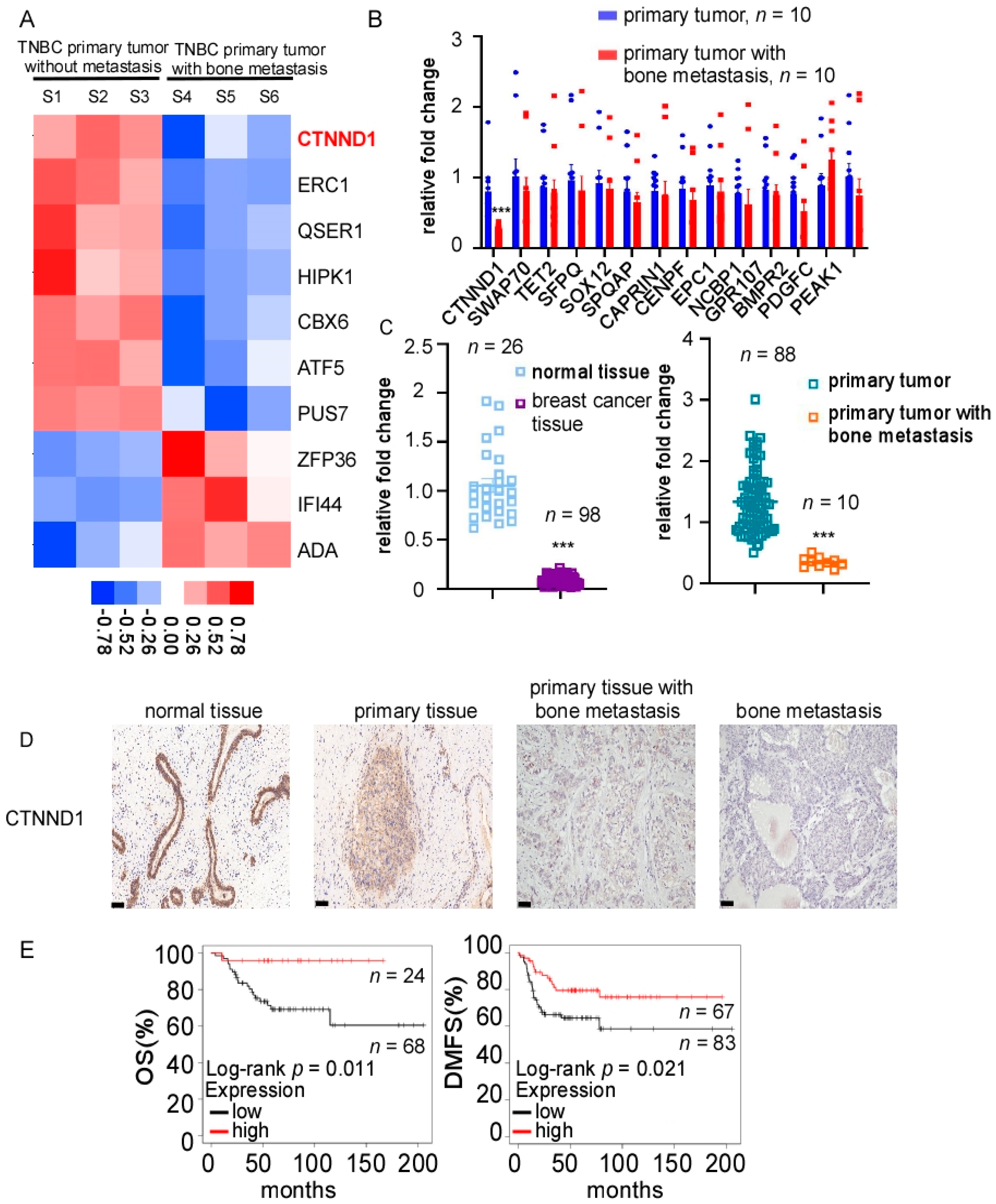 Cancers 13 05703 g001