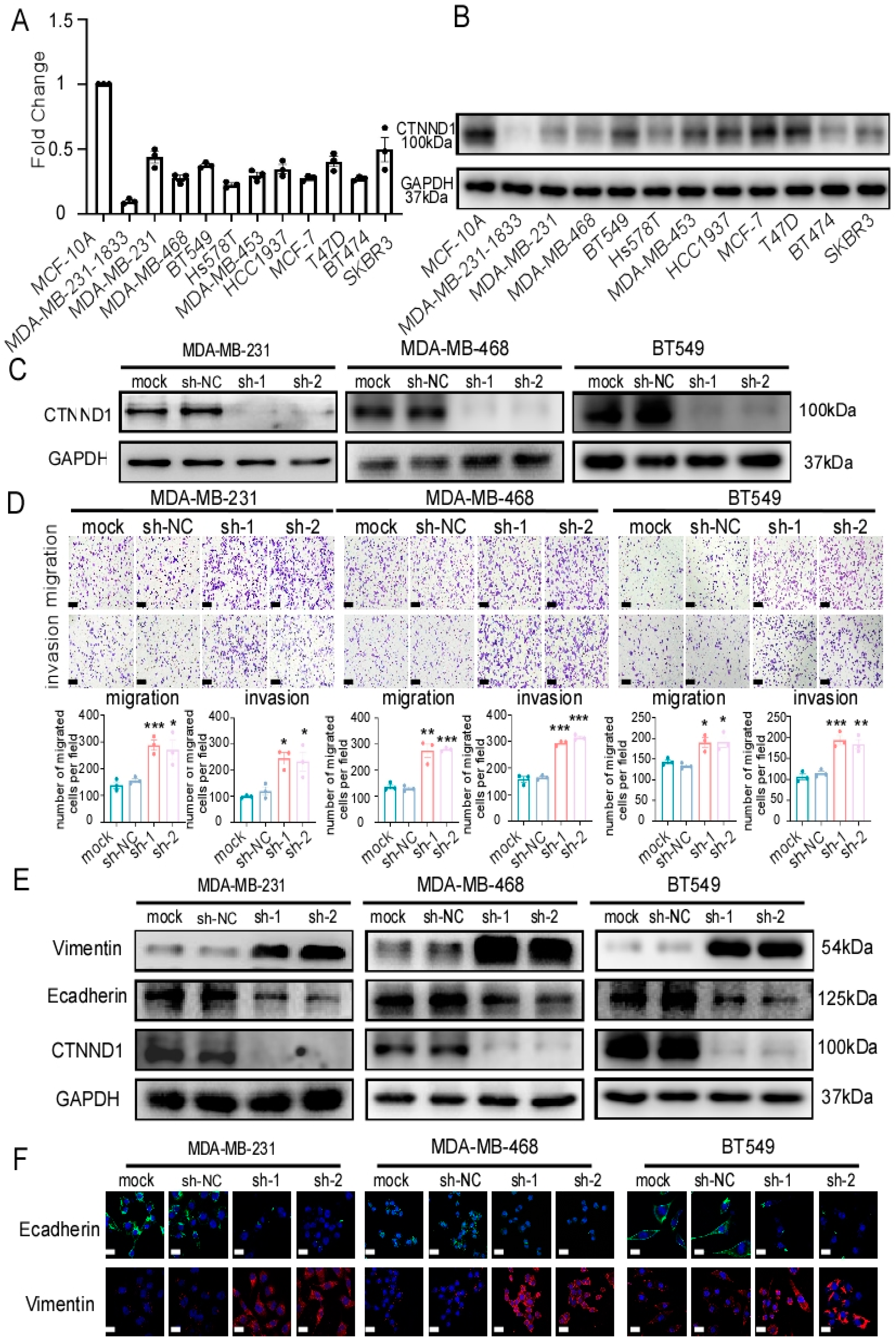 Cancers 13 05703 g003
