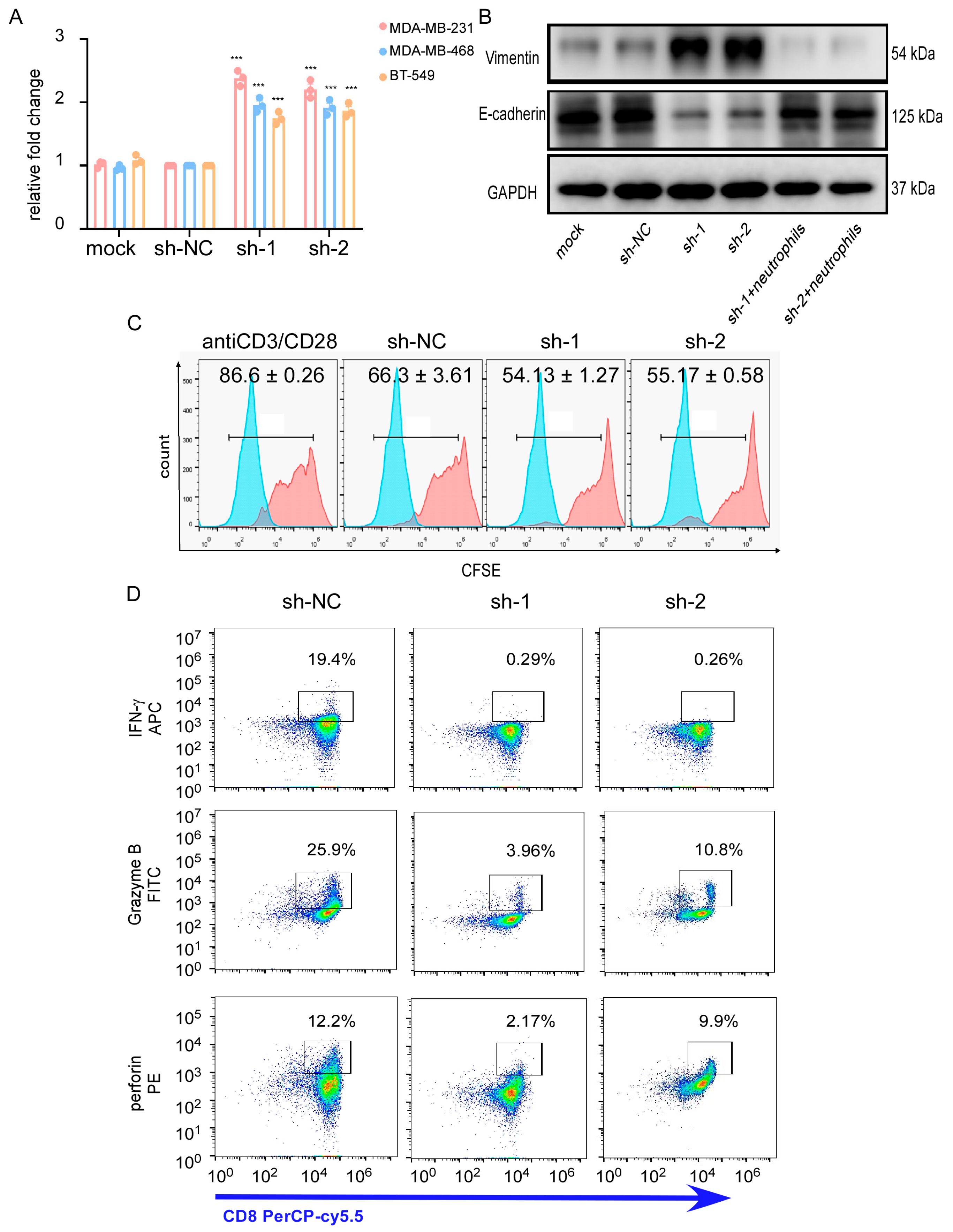 Cancers 13 05703 g006