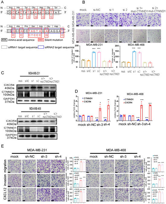 Cancers 13 05703 g0a2