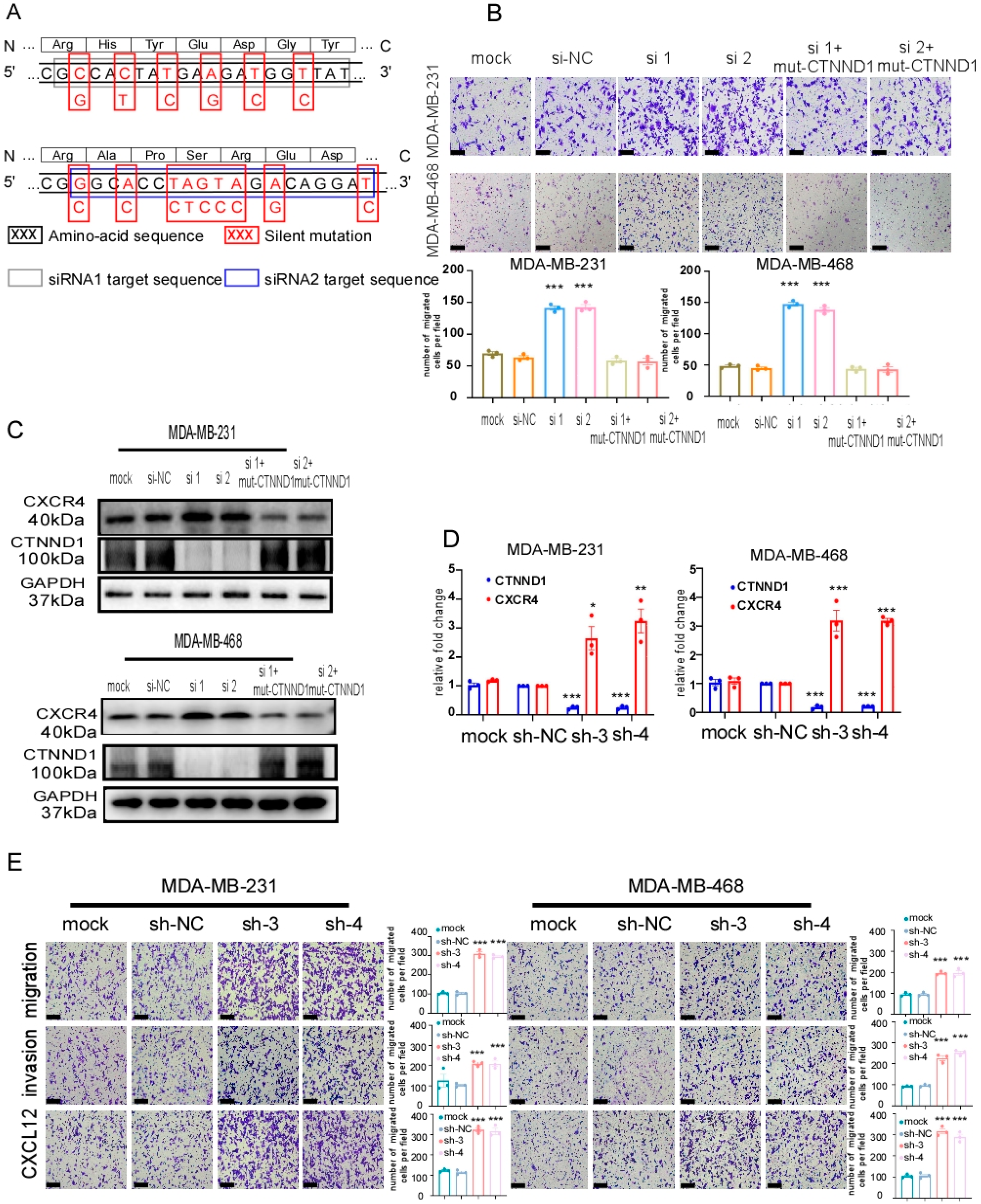 Cancers 13 05703 g0a2