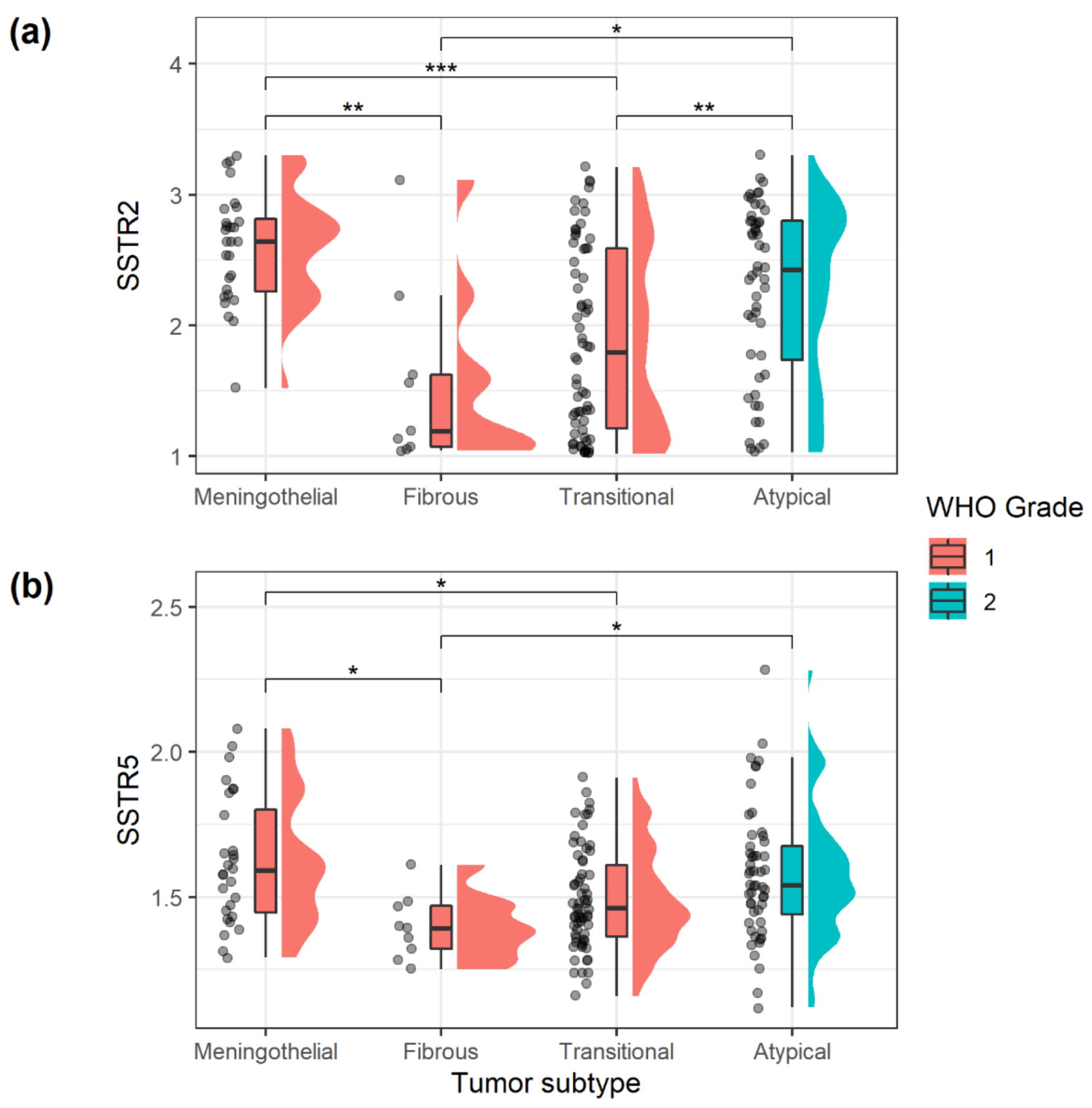 Cancers 13 05704 g003