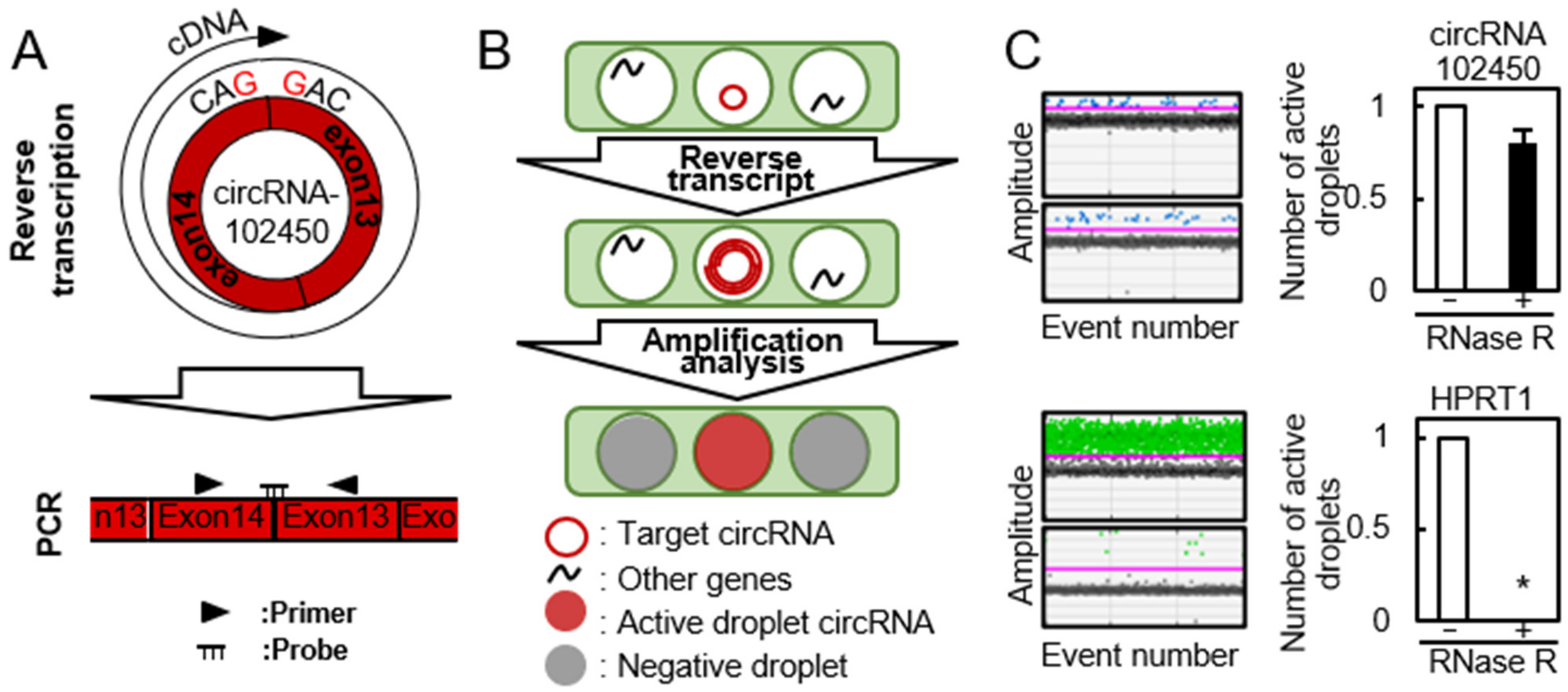 Cancers 13 05708 g002