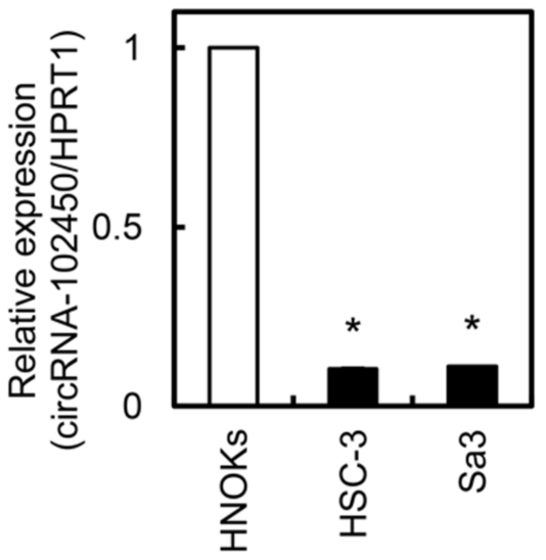 Cancers 13 05708 g003