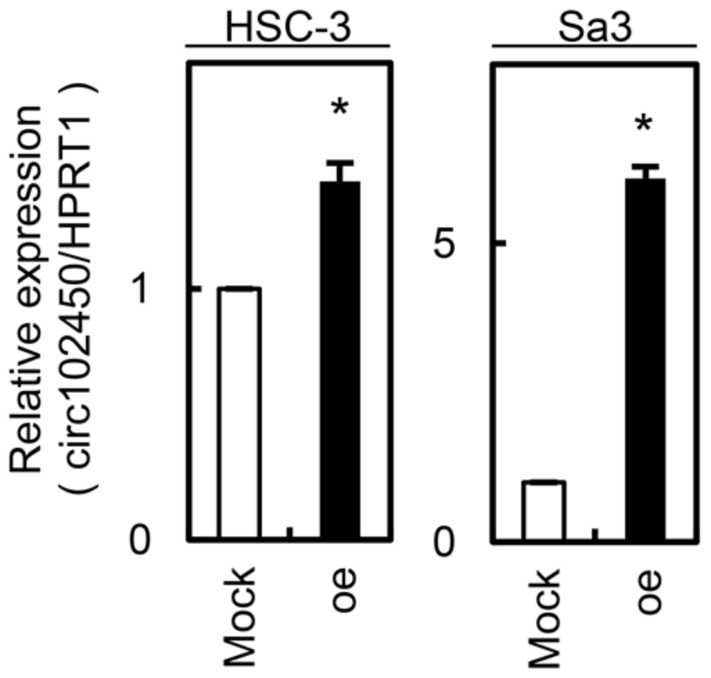 Cancers 13 05708 g005