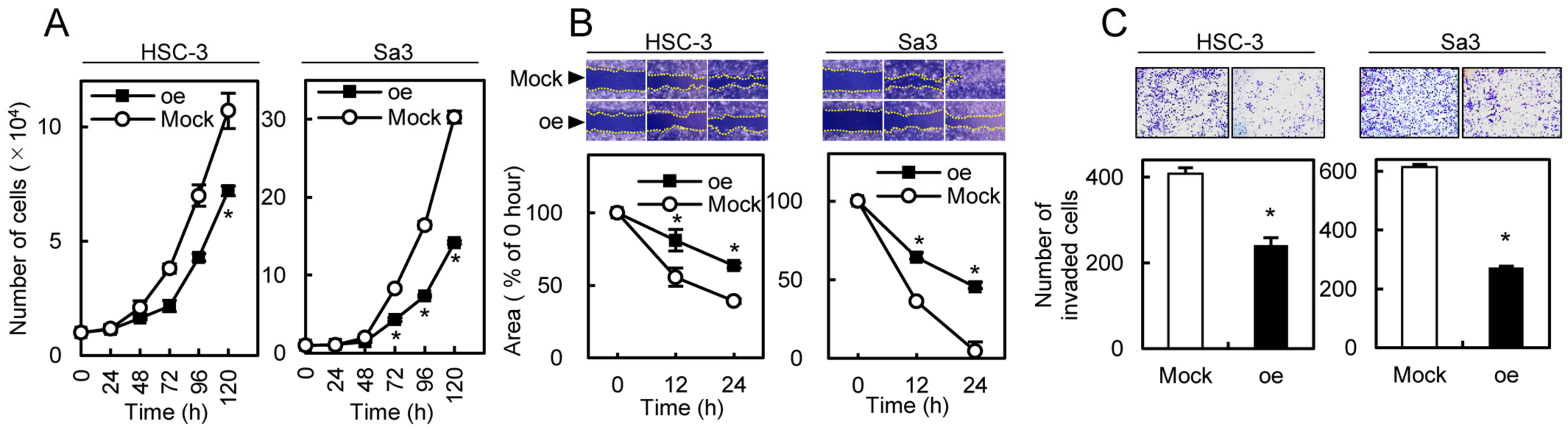Cancers 13 05708 g006