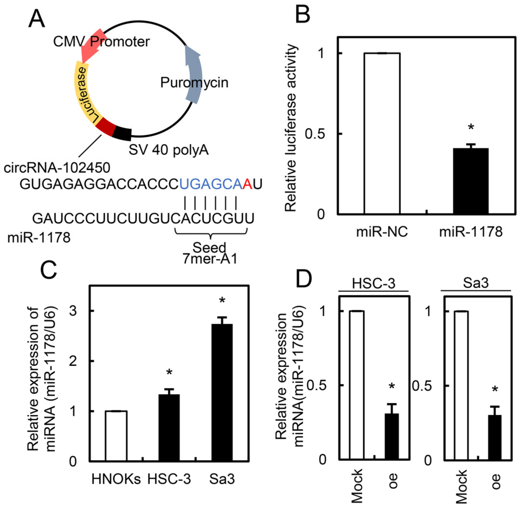 Cancers 13 05708 g007