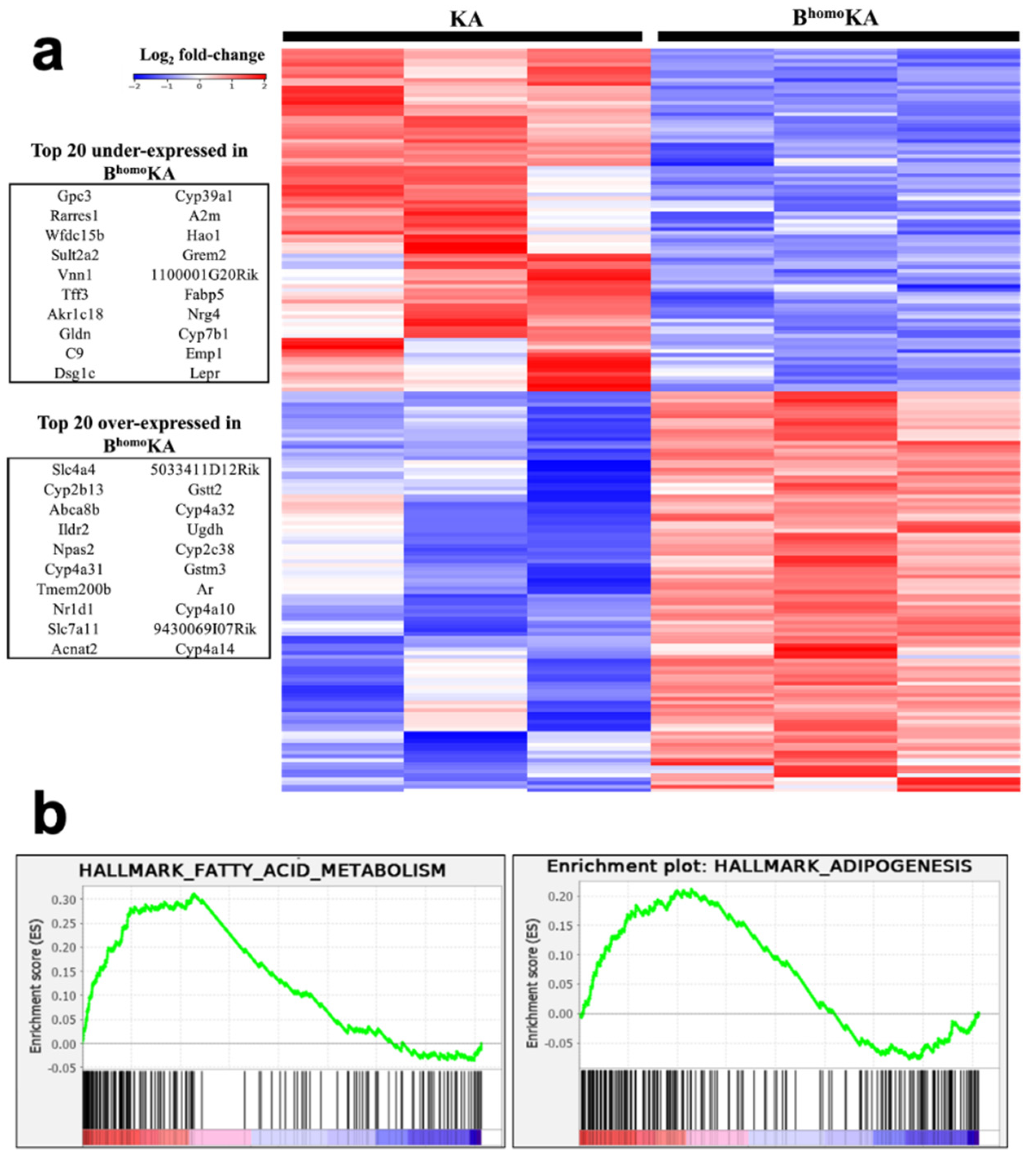 Cancers 13 05709 g003