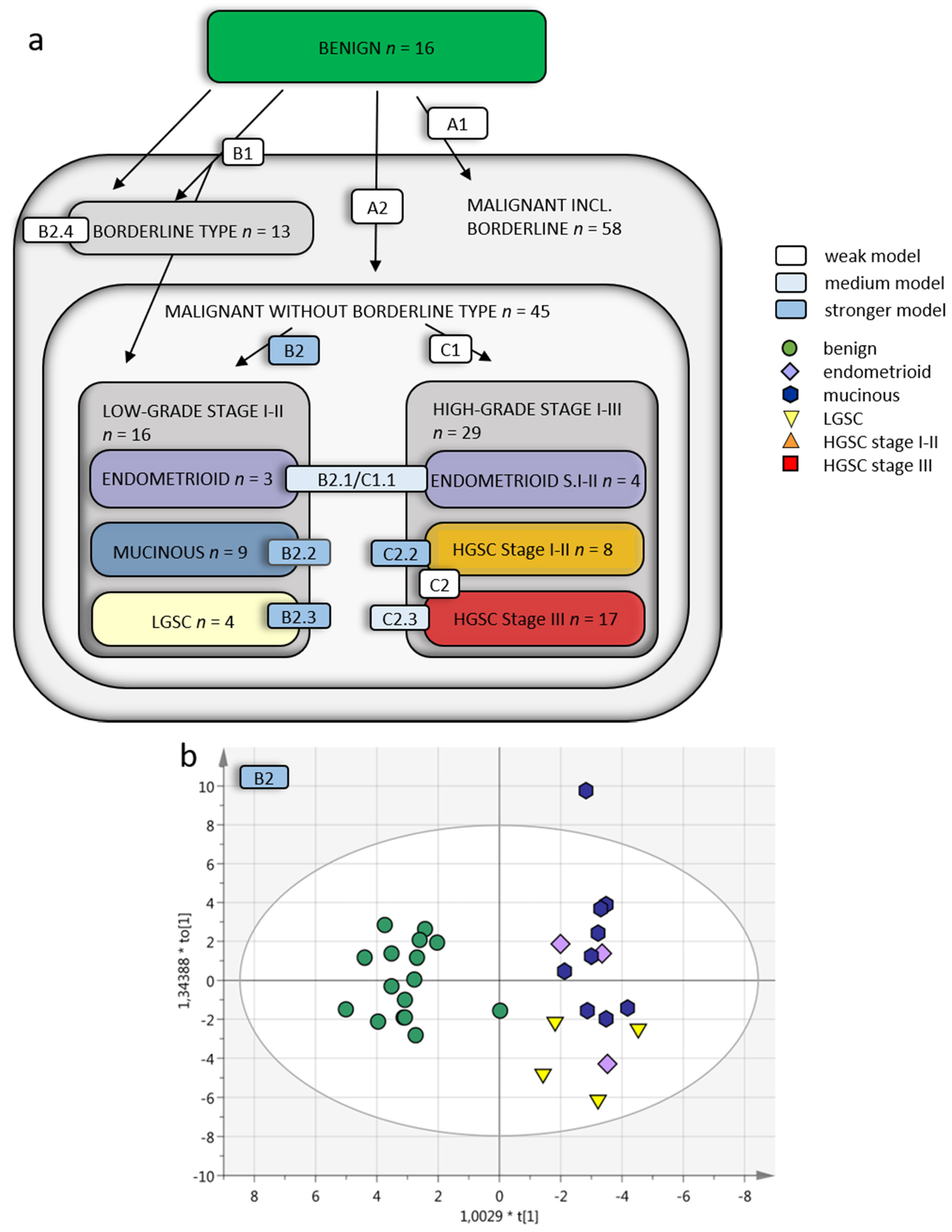 Cancers 13 05713 g003a