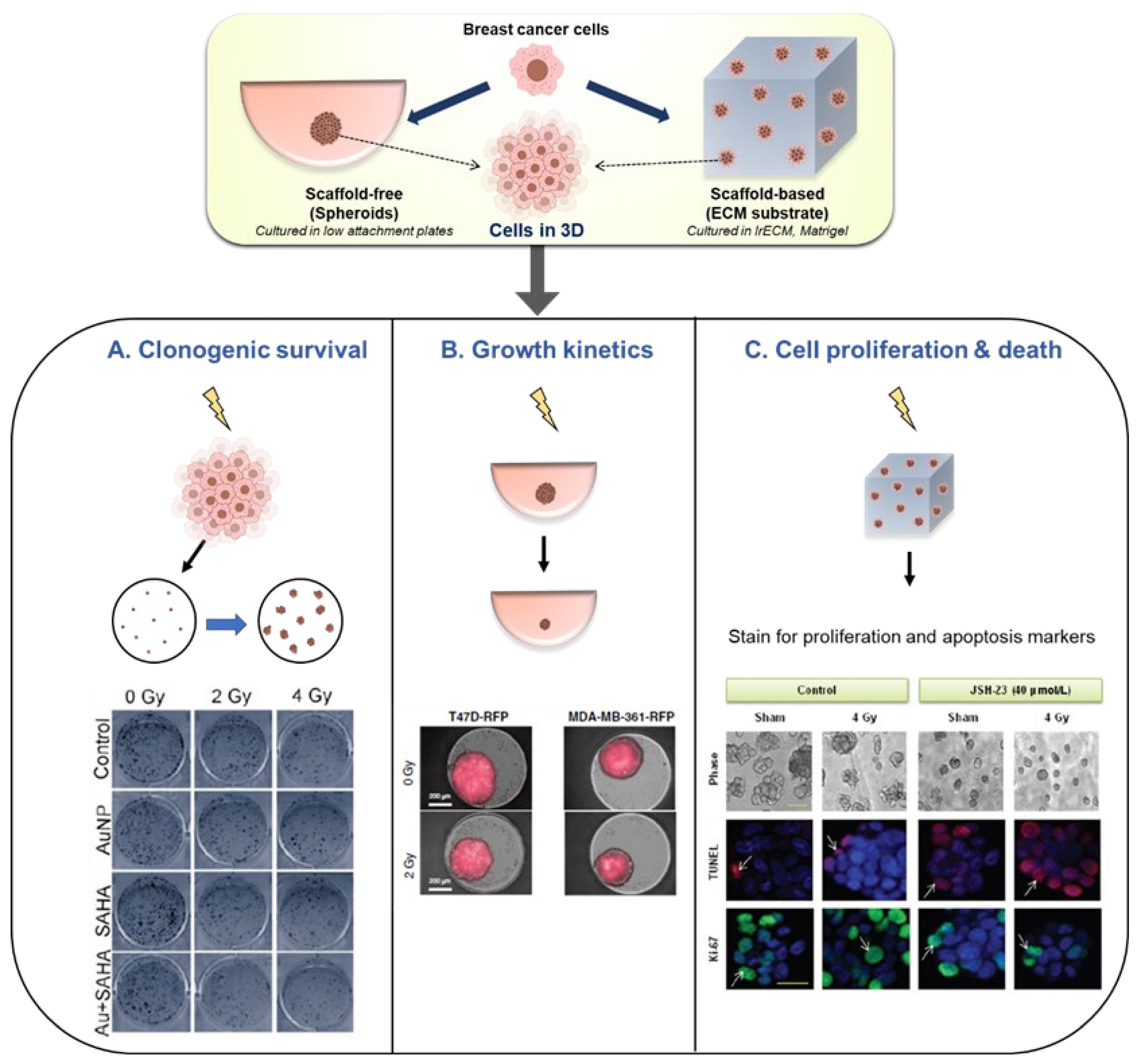 Cancers 13 05714 g002