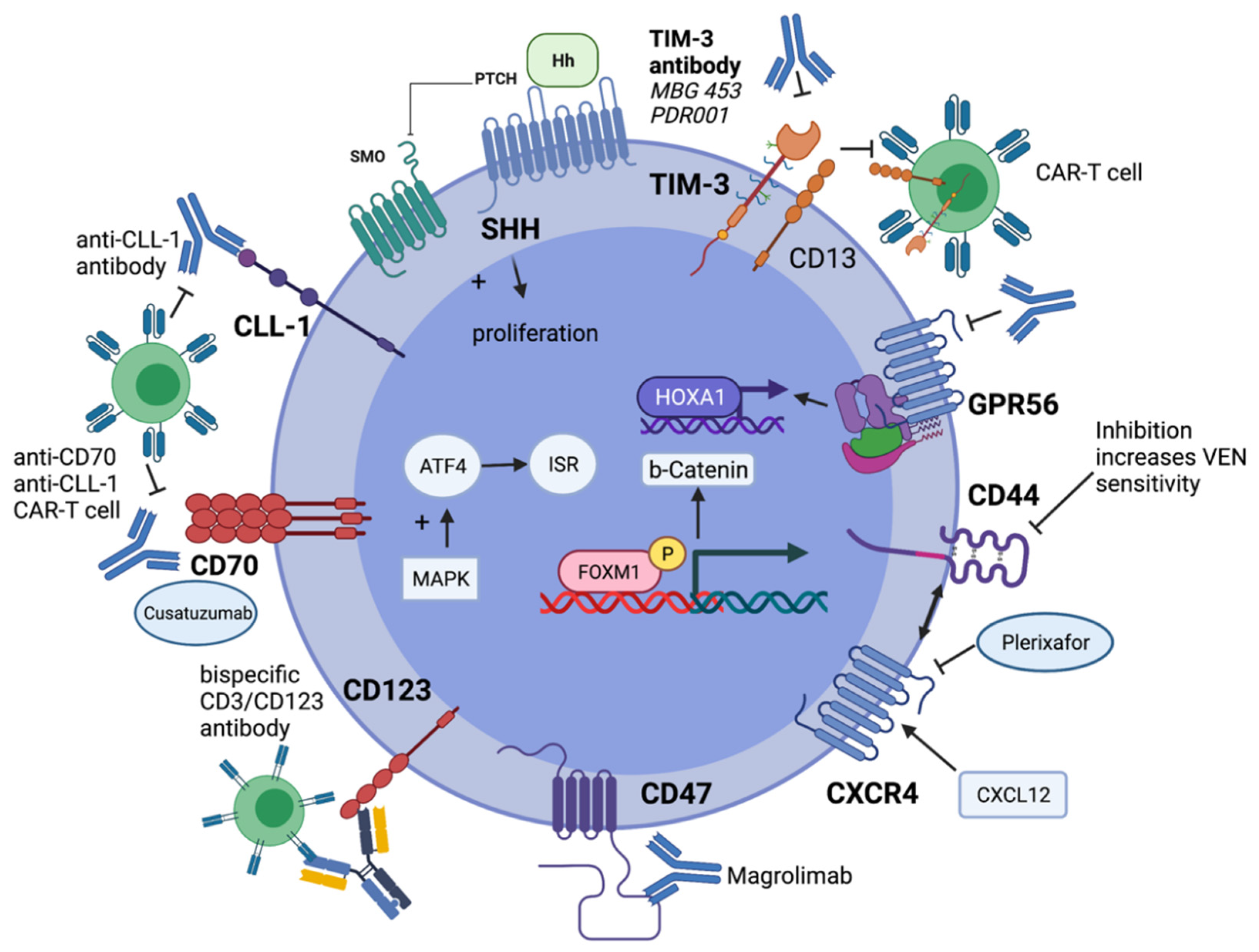 Cancers 13 05722 g002